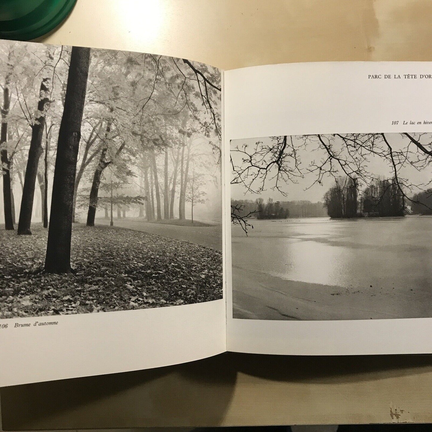LYON  - V. - H. Debidour, M. Laferrère, et ses environs - Arthaud CITTÀ DI LIONE