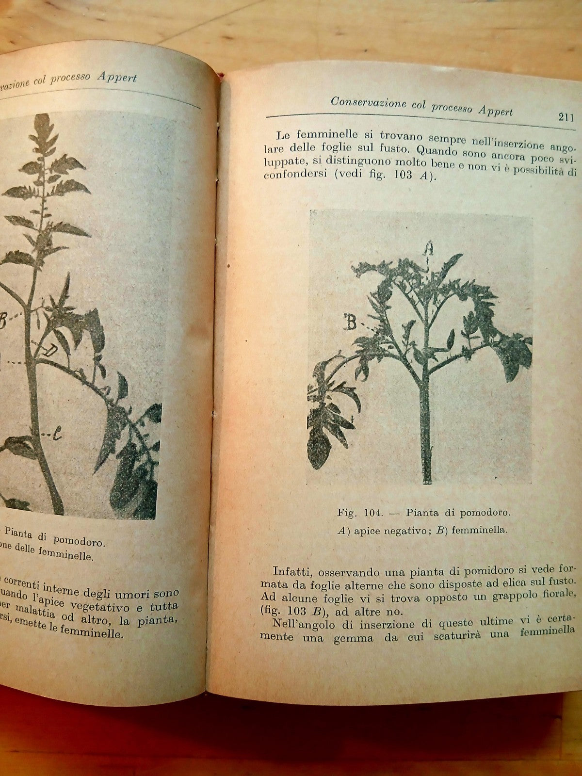 L'Industria delle conserve alimentari - G. D'Onofrio - manuali Hoepli 1924