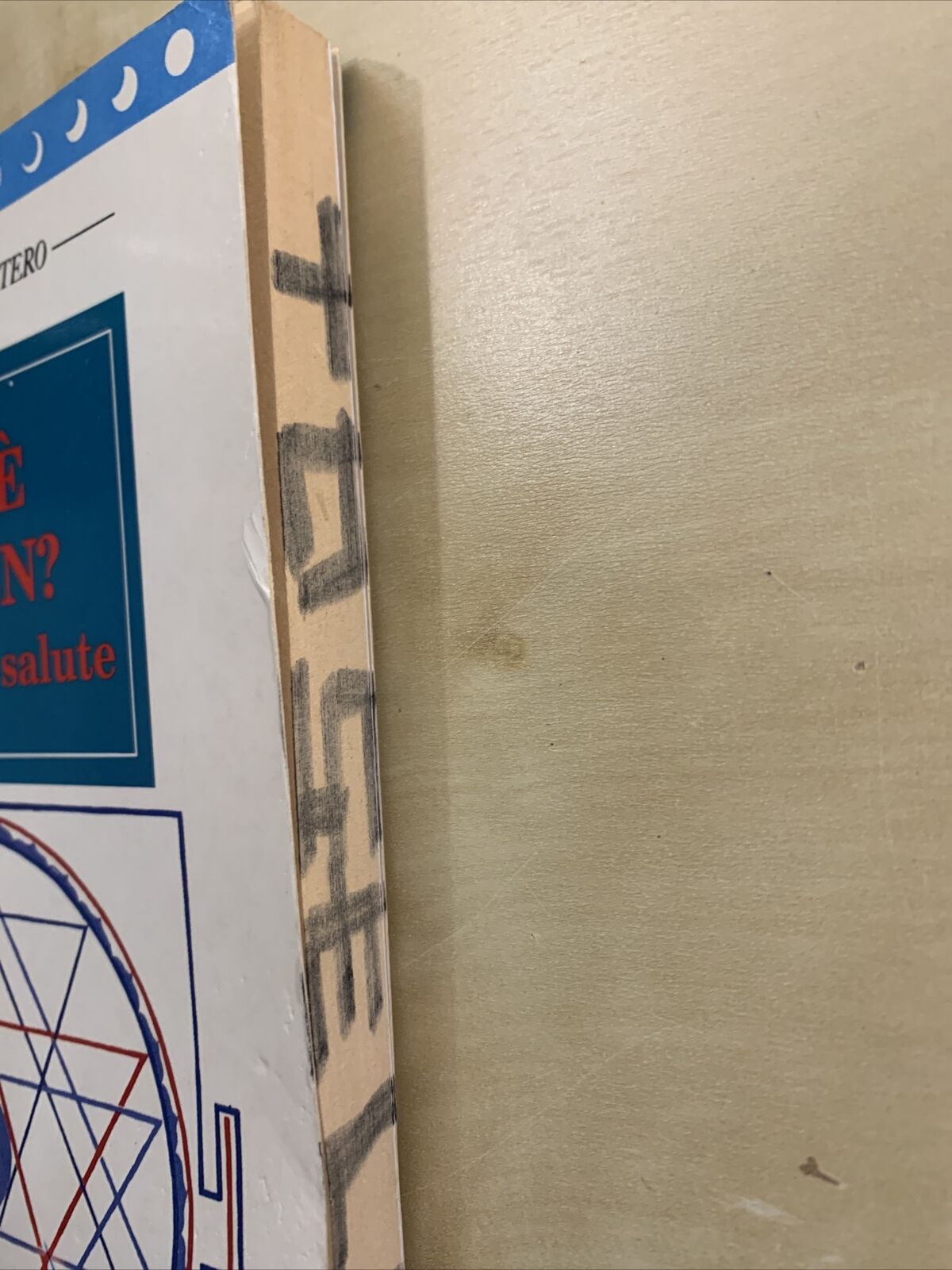 COS'É LO ZEN ? - Serenità  e salute, G. V. Vittori, Manuali del Mistero 1994 MEB