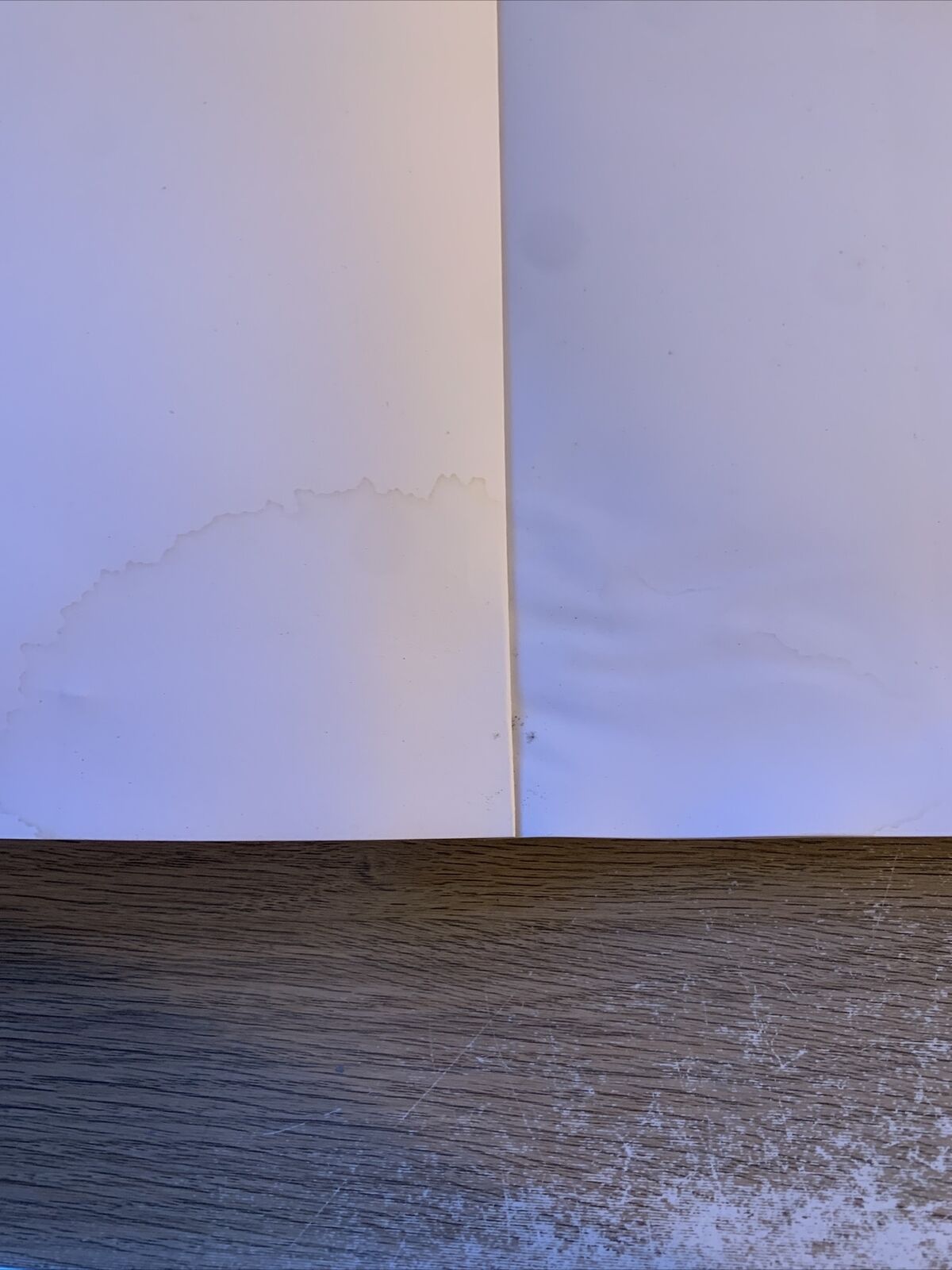L'IKONA IMMAGINE DELL'INVISIBILE. Giancarlo Pellegrini. Dehoniana libri 2007