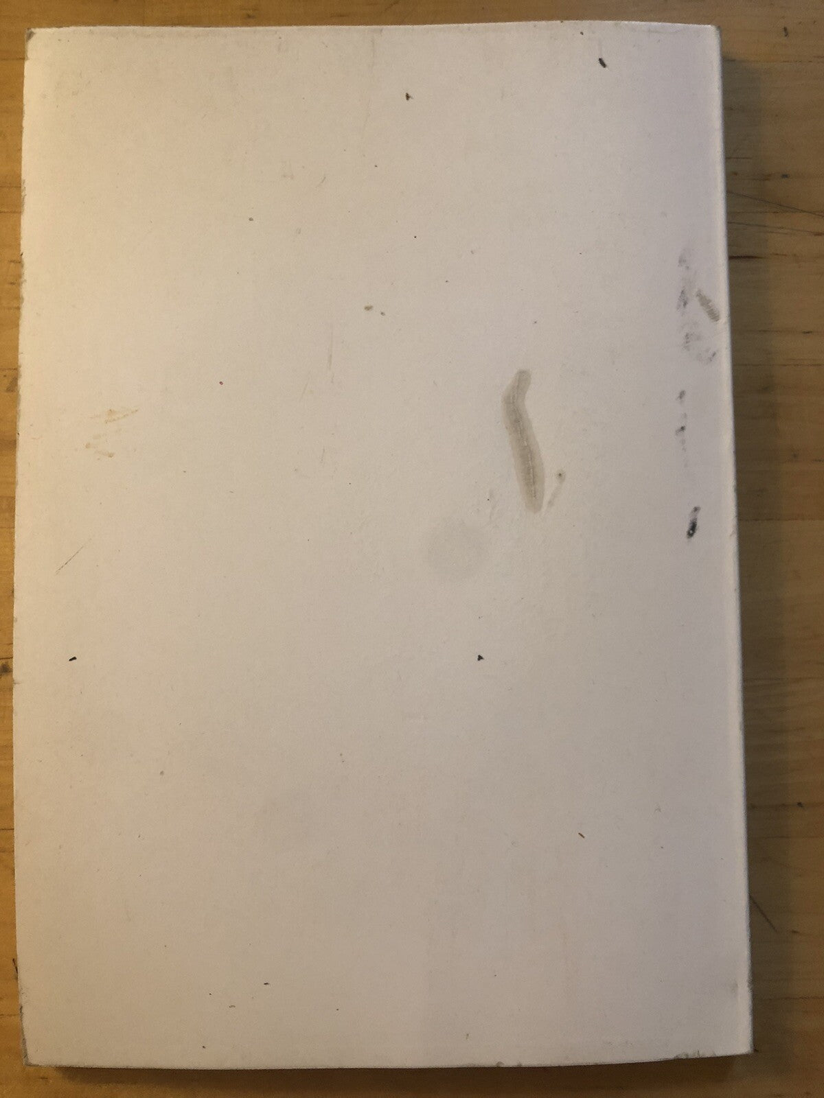 Chiesa cattedrale di Policastro, la storia e i restauri 1990 Salerno e Avellino