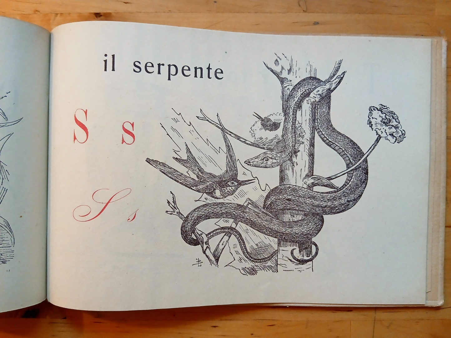 ABC con disegni originali - L. Bruckmann, Cionini ed. 1944 illustrato bambini