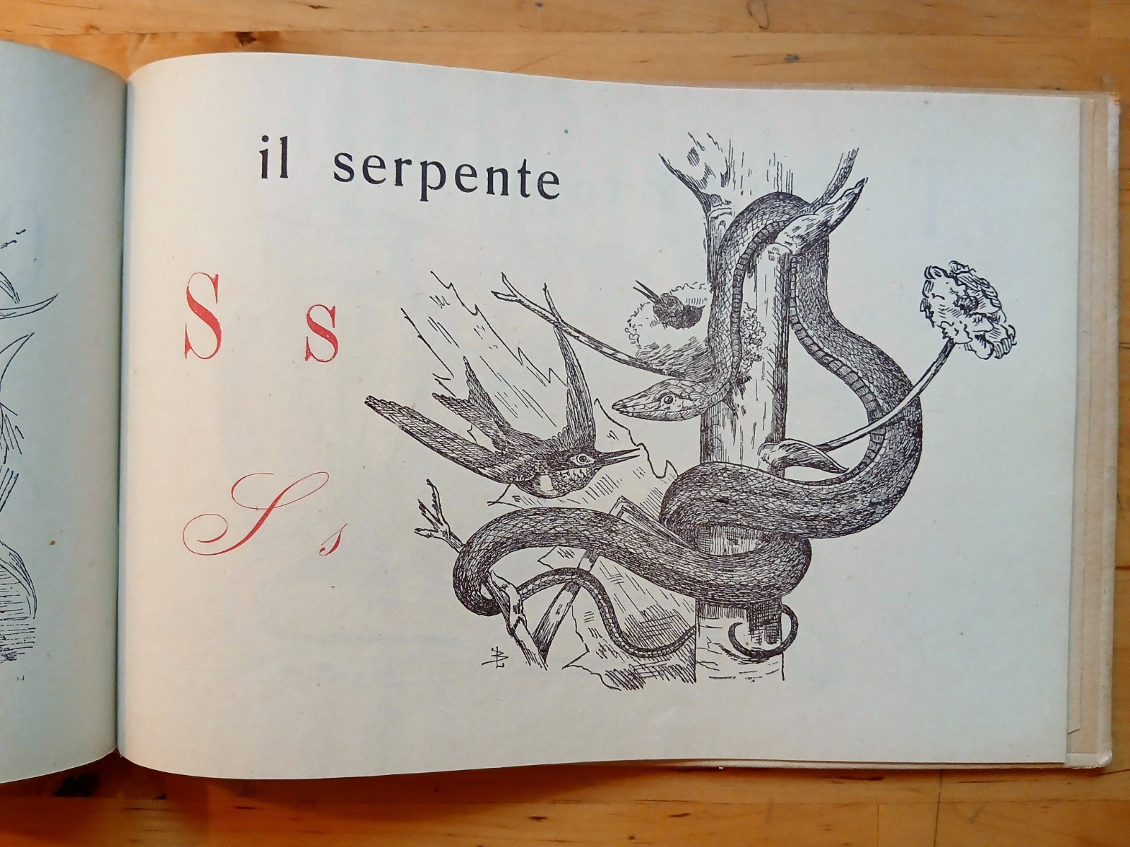 ABC con disegni originali - L. Bruckmann, Cionini ed. 1944 illustrato bambini