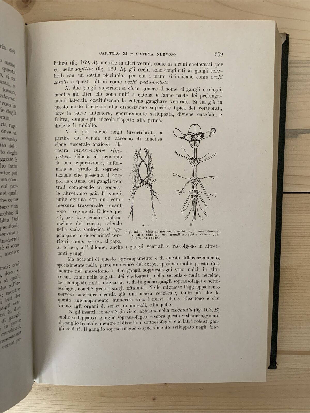 ANATOMIA E FISIOLOGIA DELL'OCCHIO NELLA SERIE ANIMALE - Giuseppe Ovio 1925 #