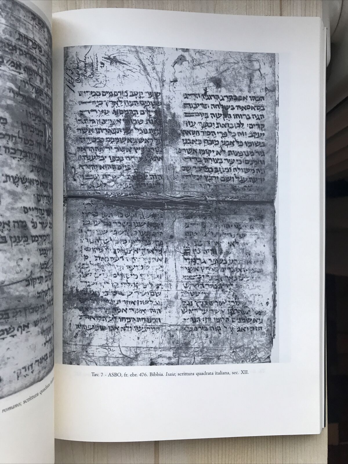 I FRAMMENTI EBRAICI DI BOLOGNA, archivio di stato e collezioni minori, Olschki
