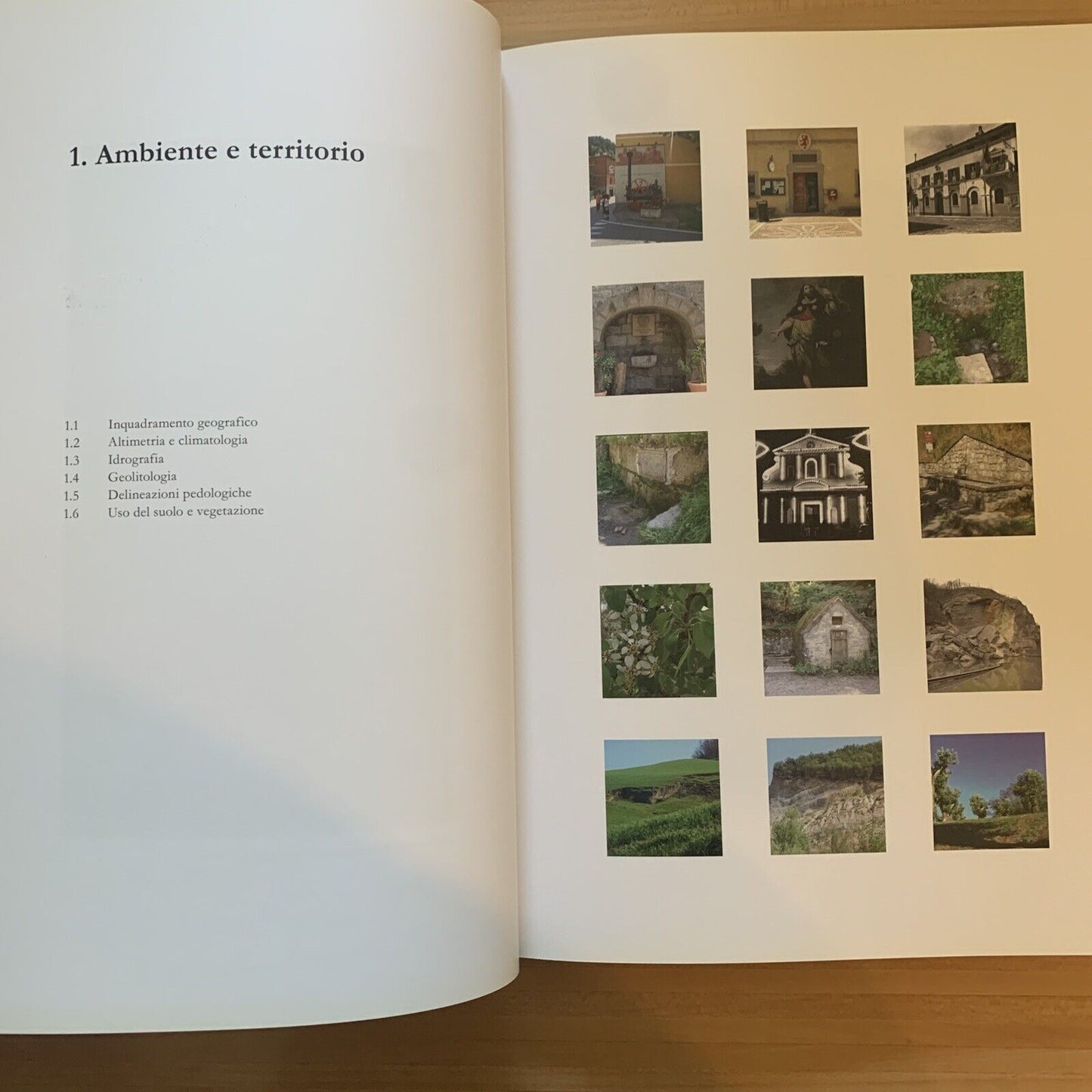 Libro Loiano - LOIANO ambiente storia e tradizioni. Comune di Loiano 2014 #
