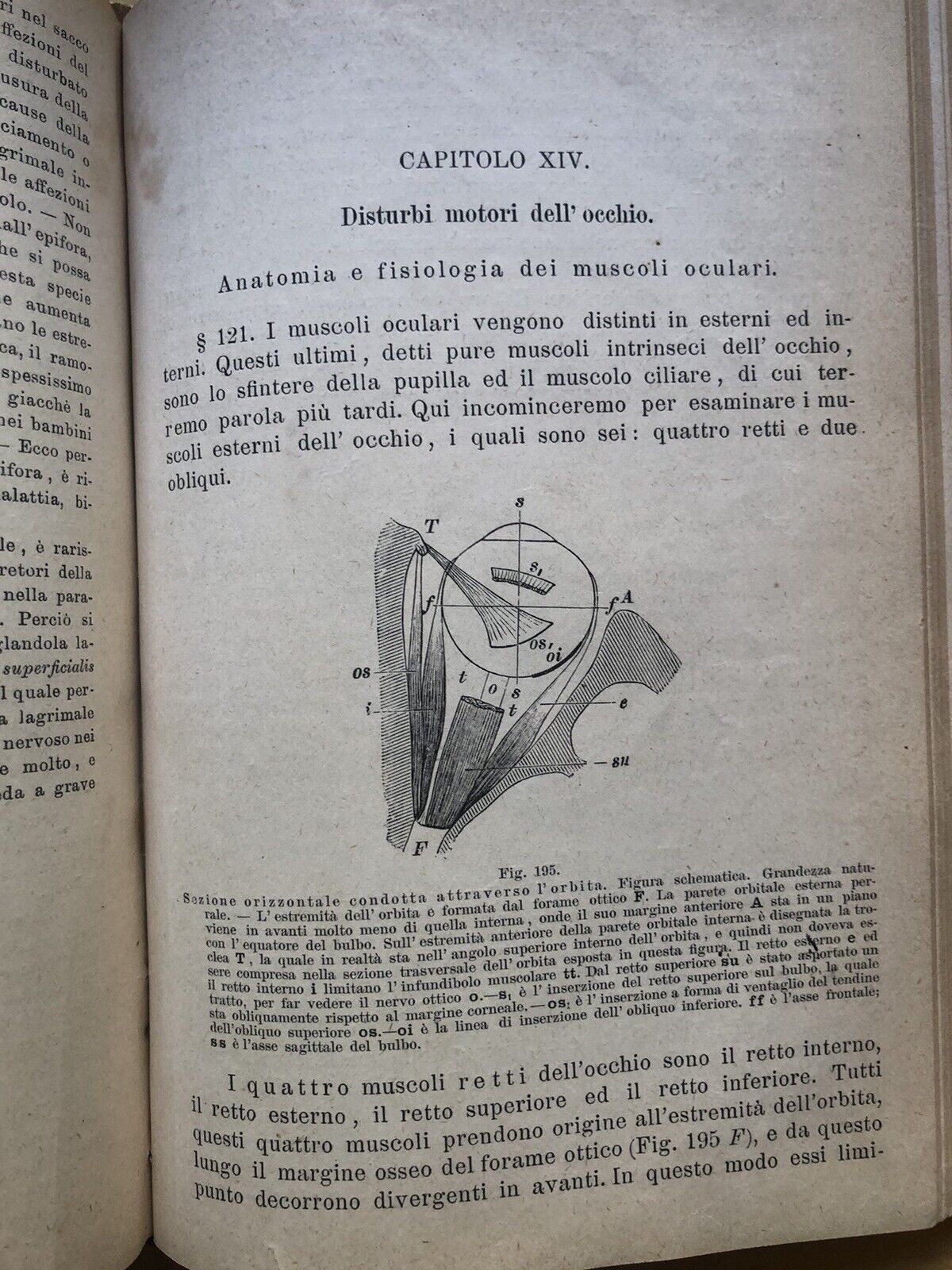 Trattato di oftalmologia - Fuchs
