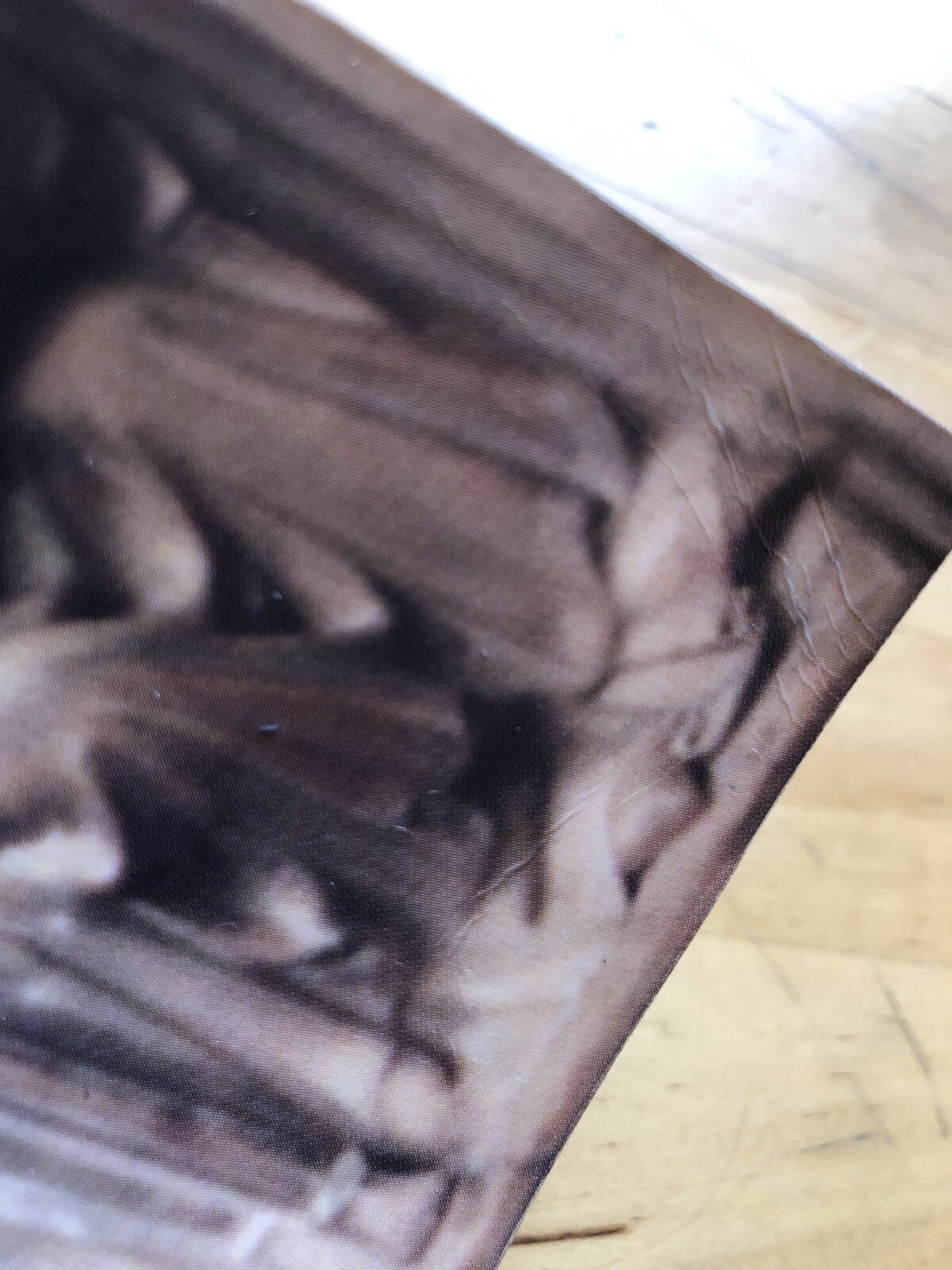 Bologna medievale nella storia delle città, Rolando Dondarini. Pàtron 2000