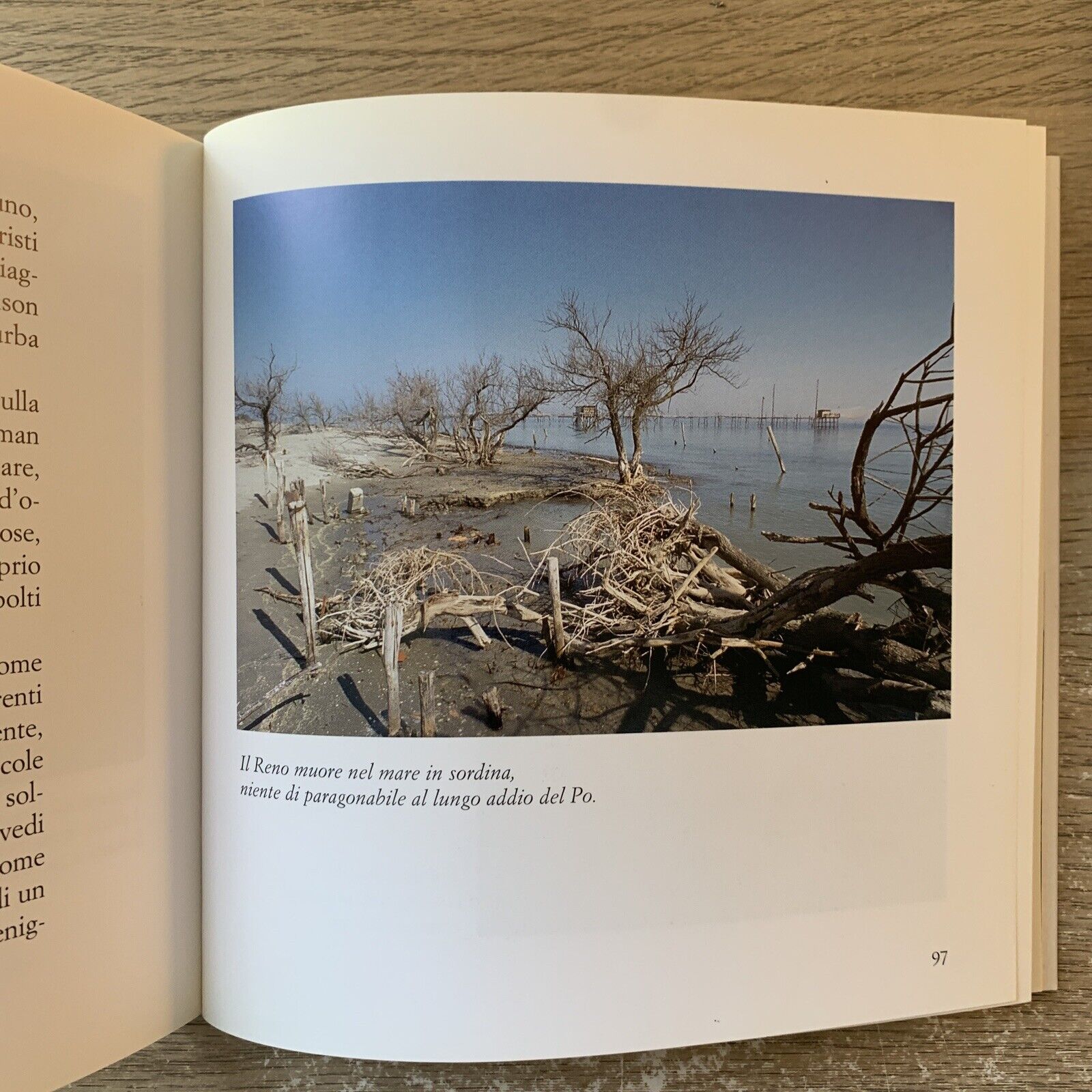 Il Romanzo del Reno - Maurizio Garuti. Pendragon 2004