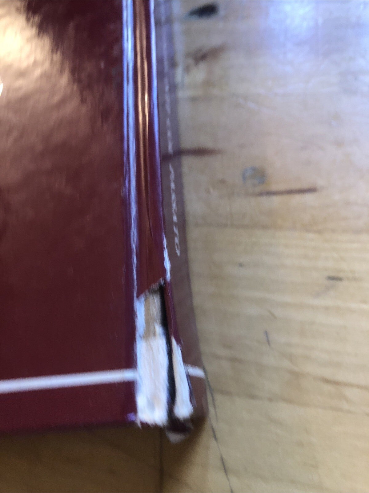 Bologna fotoconfronti col passato, A. Vianelli, edizione Unificata in 300 pagine