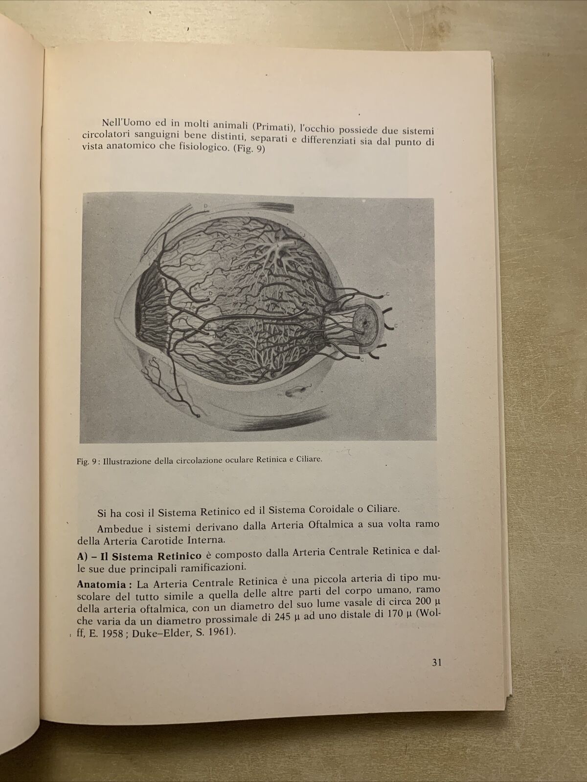 Circolazione oculare e dinamica dei liquidi oculari - Severino Cioli 1981 Nobili