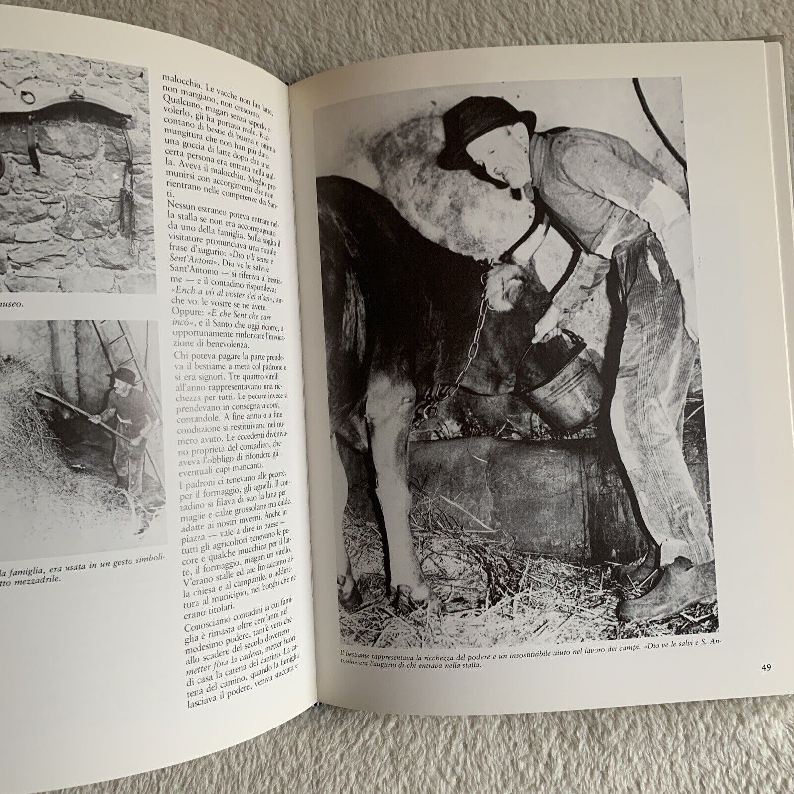 Il crepuscolo della civiltà contadina Adriano Simoncini Mauro Bacci. Grafis 1983