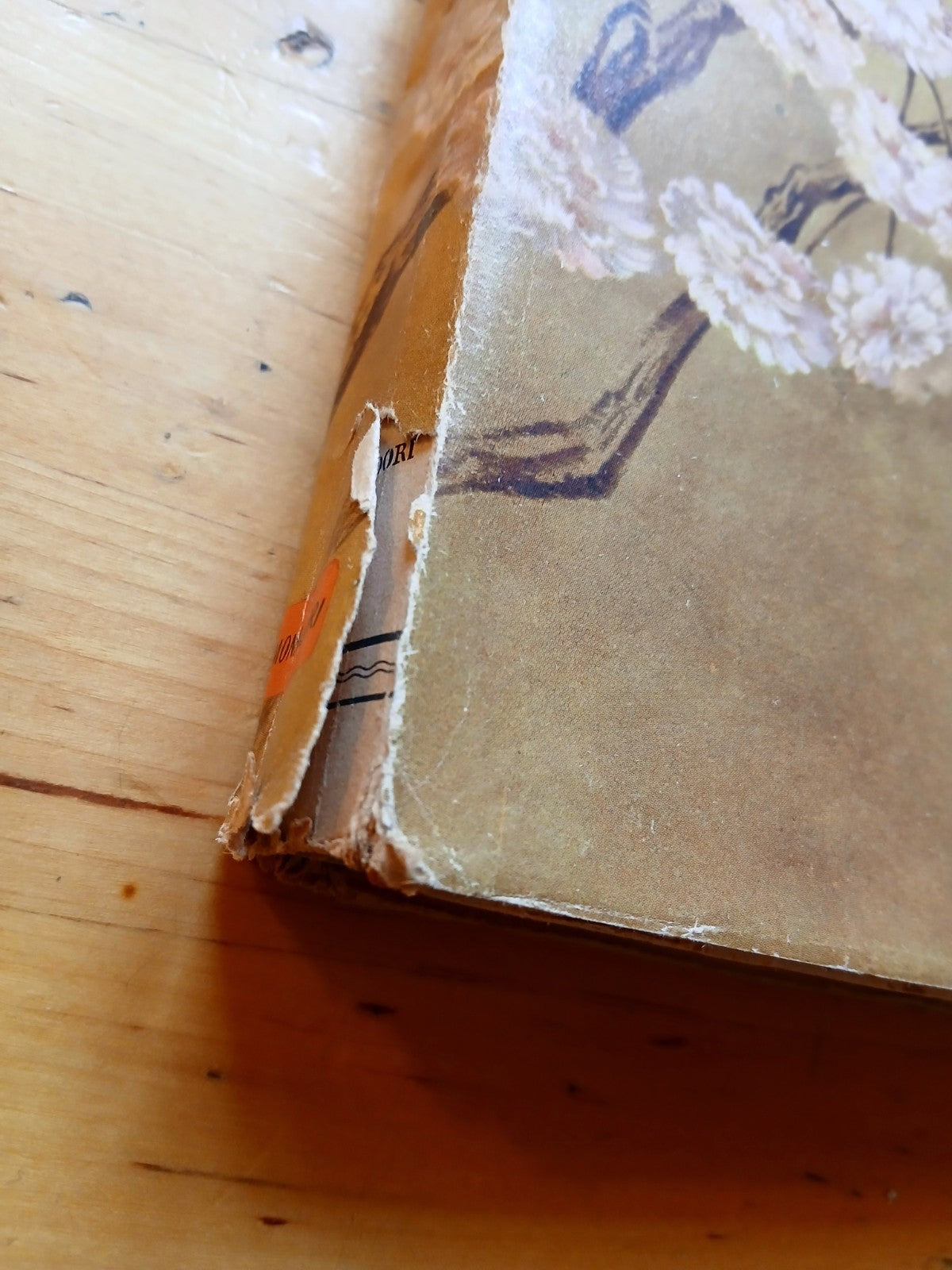 Cannoni e ciliegi in fiore - Il Giappone moderno - Mario Appelius, Mondadori