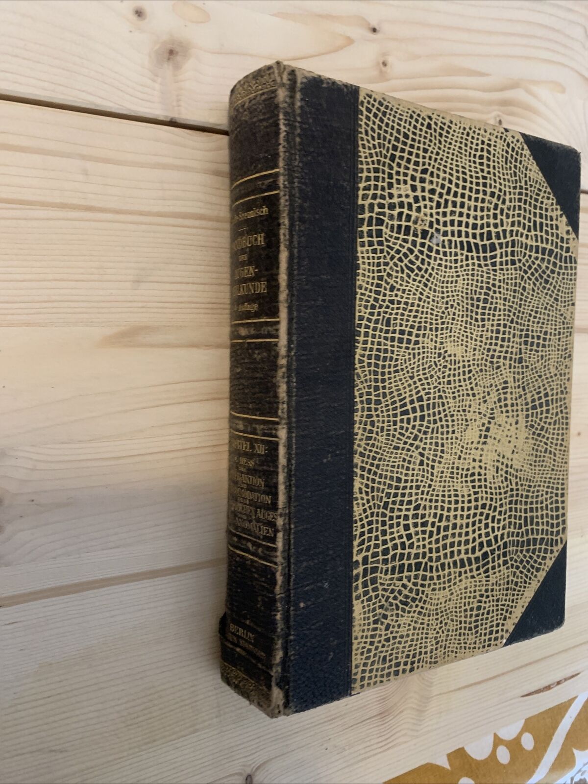 graeffe saemisch handbuch der gesamen augenheilkunde 1910 #