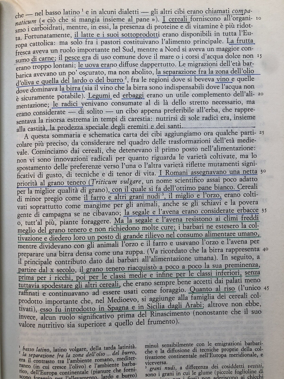Il materiale e l'Immaginario vol. 3 La società urbana - Loescher editore 1981