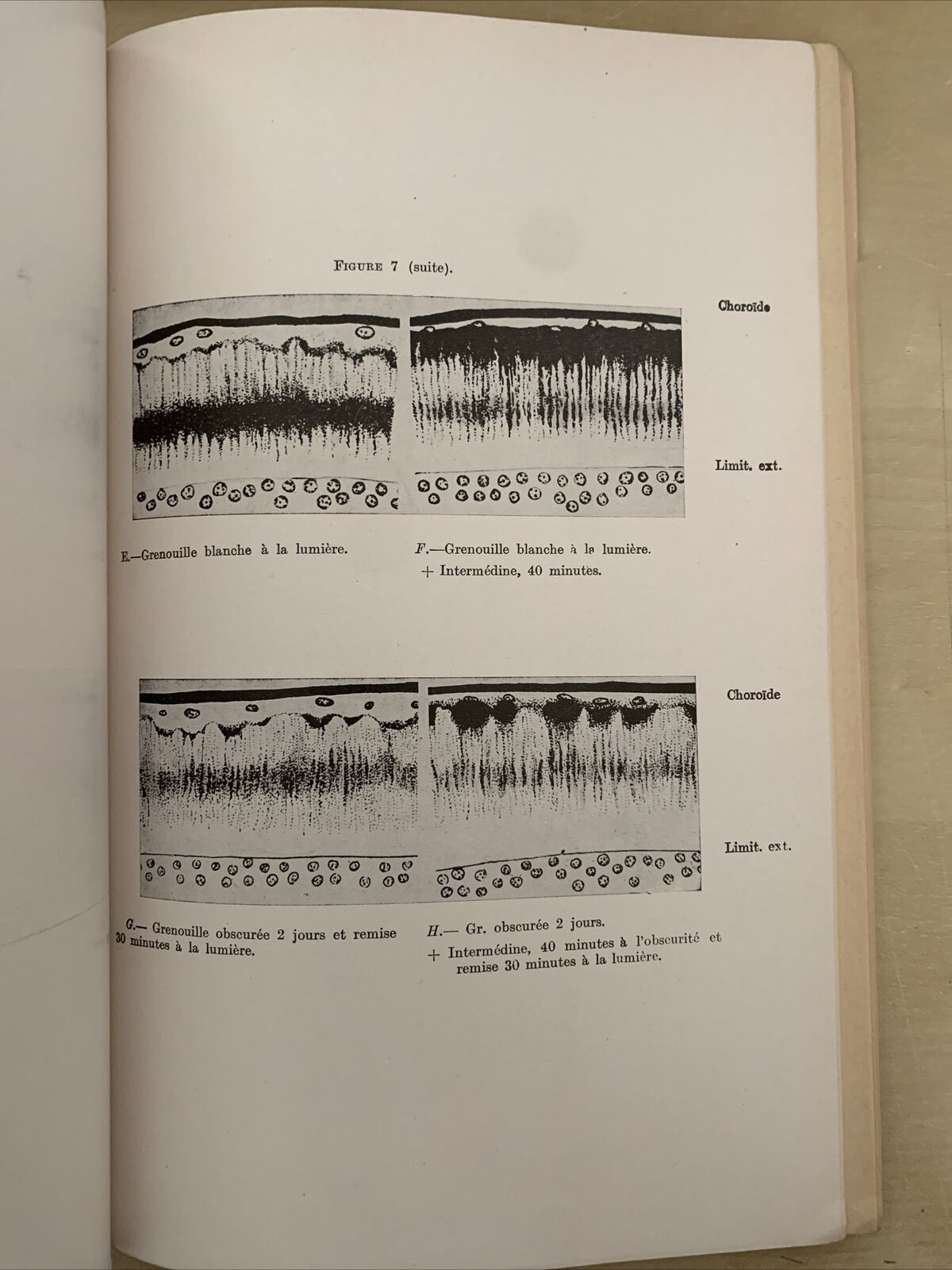 L'ENDOCRINOLOGIE ET L'OEIL. Snapper, Szily, Imre, Lo Cascio, Drouet. 1938 #
