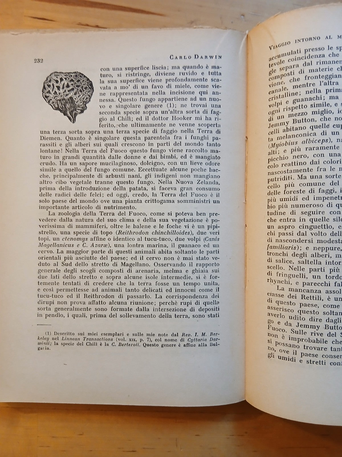 Darwin Carlo - Diario di un naturalista giramondo - Gamma ed. 1945