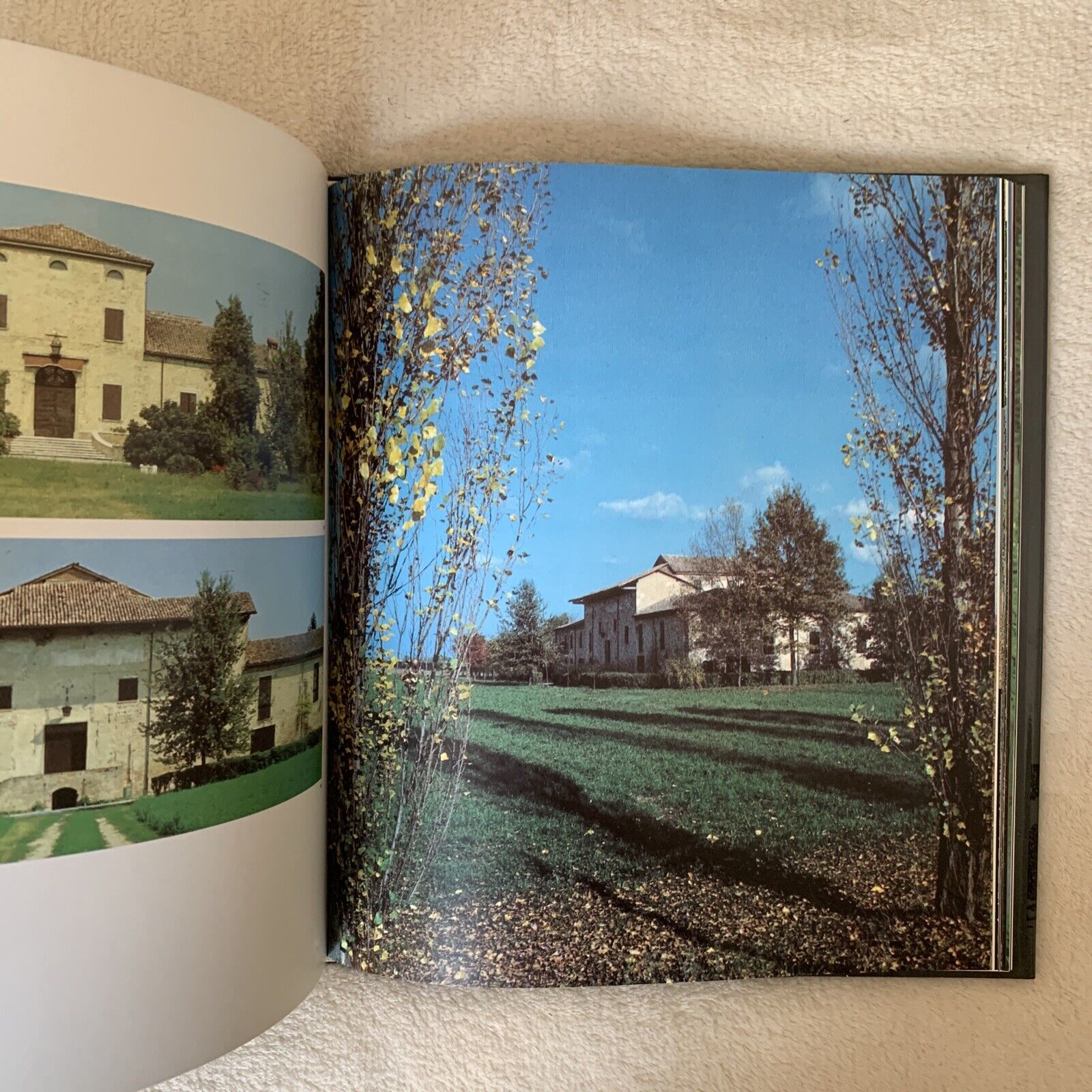 Novellara Gabriele Copellini (Bila) Elio Sellino editore 1993