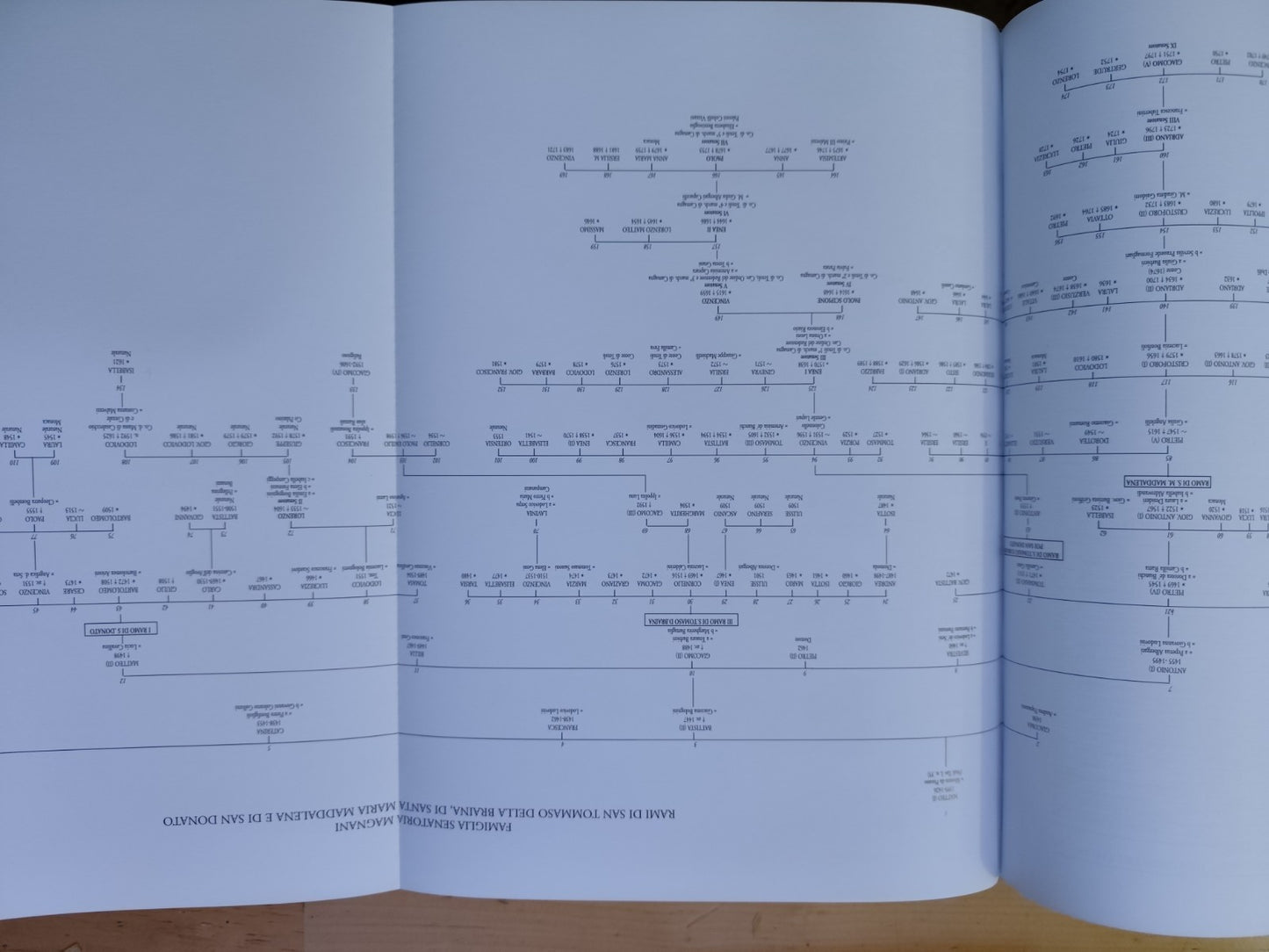 Le Famiglie senatorie di Bologna, Magnani storia genealogia e iconografia, Costa