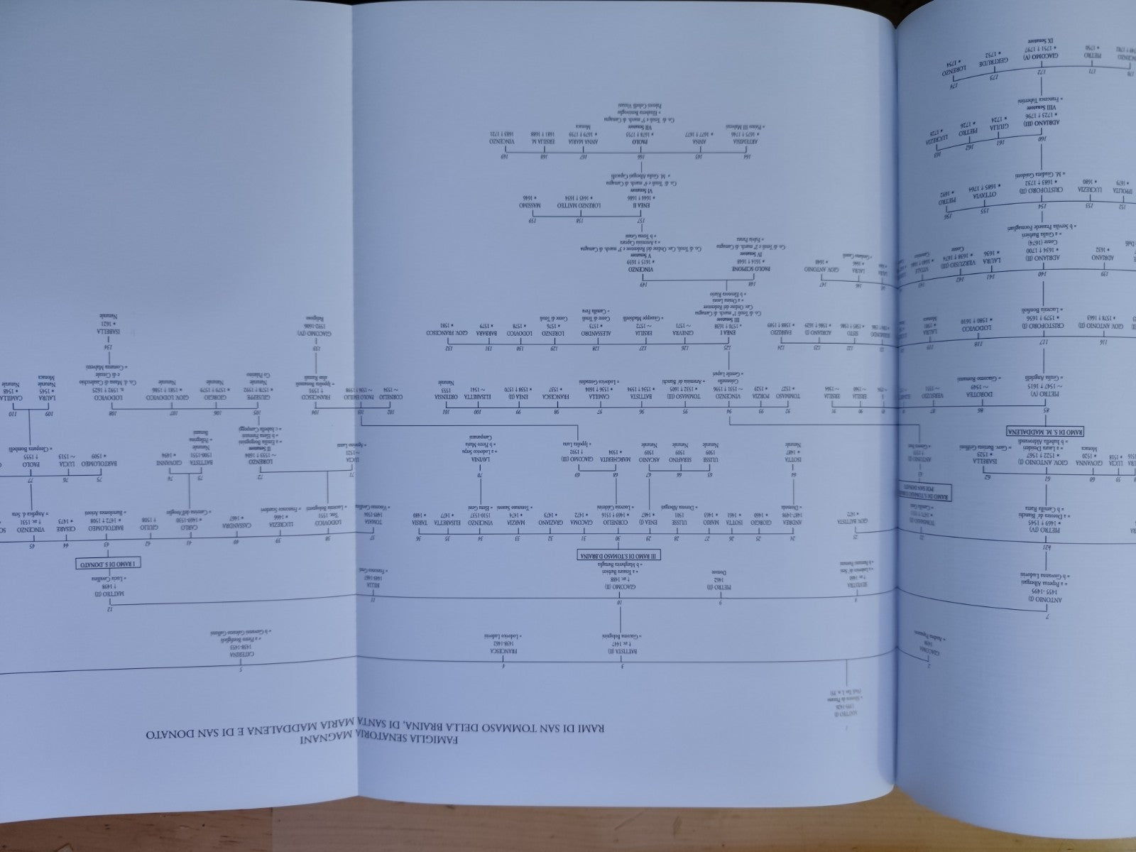 Le Famiglie senatorie di Bologna, Magnani storia genealogia e iconografia, Costa