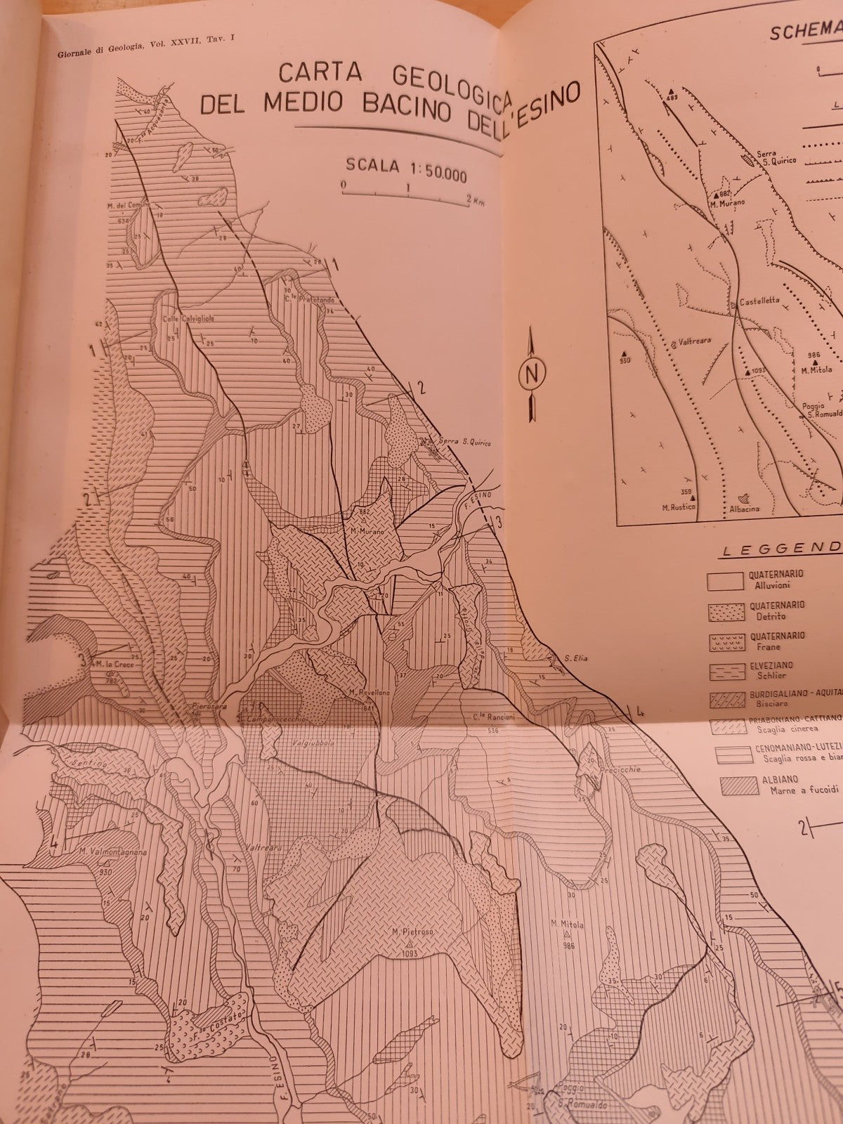 Giornale di geologia, museo geologico Bologna - Raimondo Selli, serie 2ª XXVII