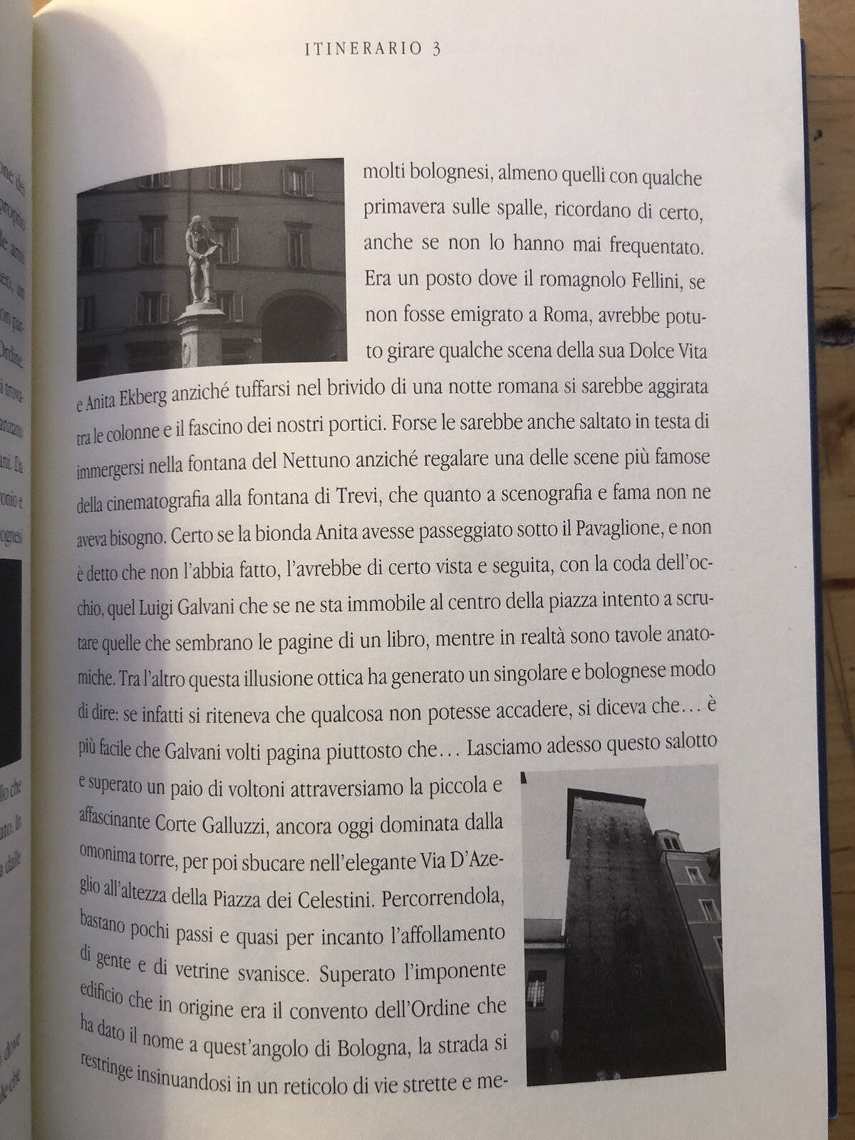 Il Segreto e la sorpresa, itinerari a Bologna - Maurizio Catassi. Minerva ed.