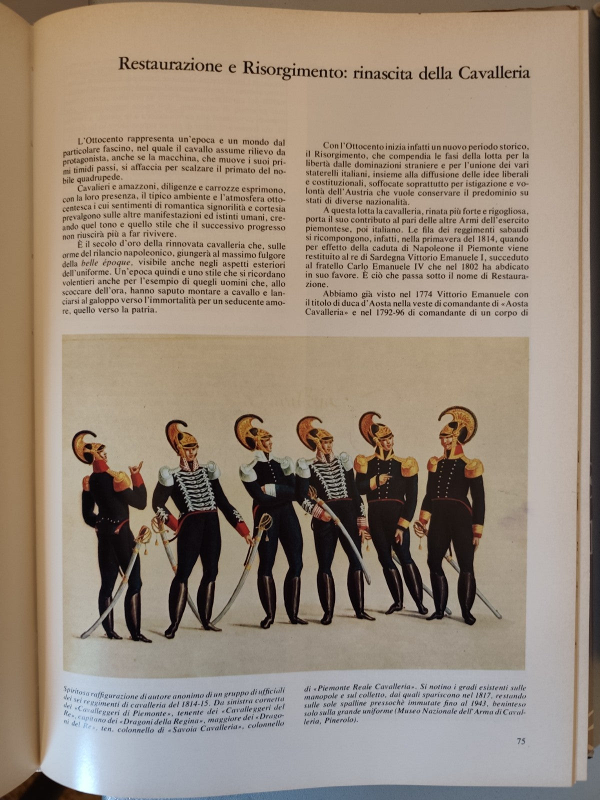 Caricat storia dell'arma di cavalleria, L'esercito e suoi corpi Stato Maggiore