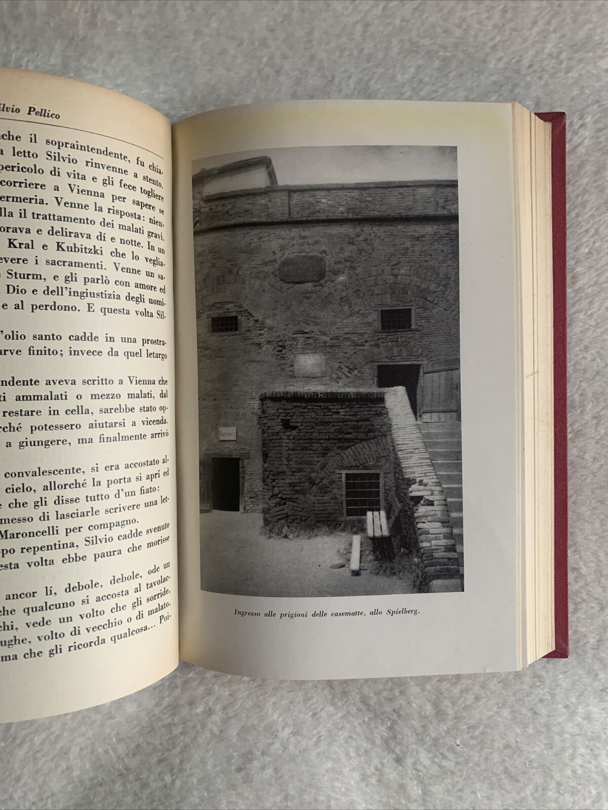 LA VITA DI SILVIO PELLICO - Barbara Allason. A. Mondadori 1933