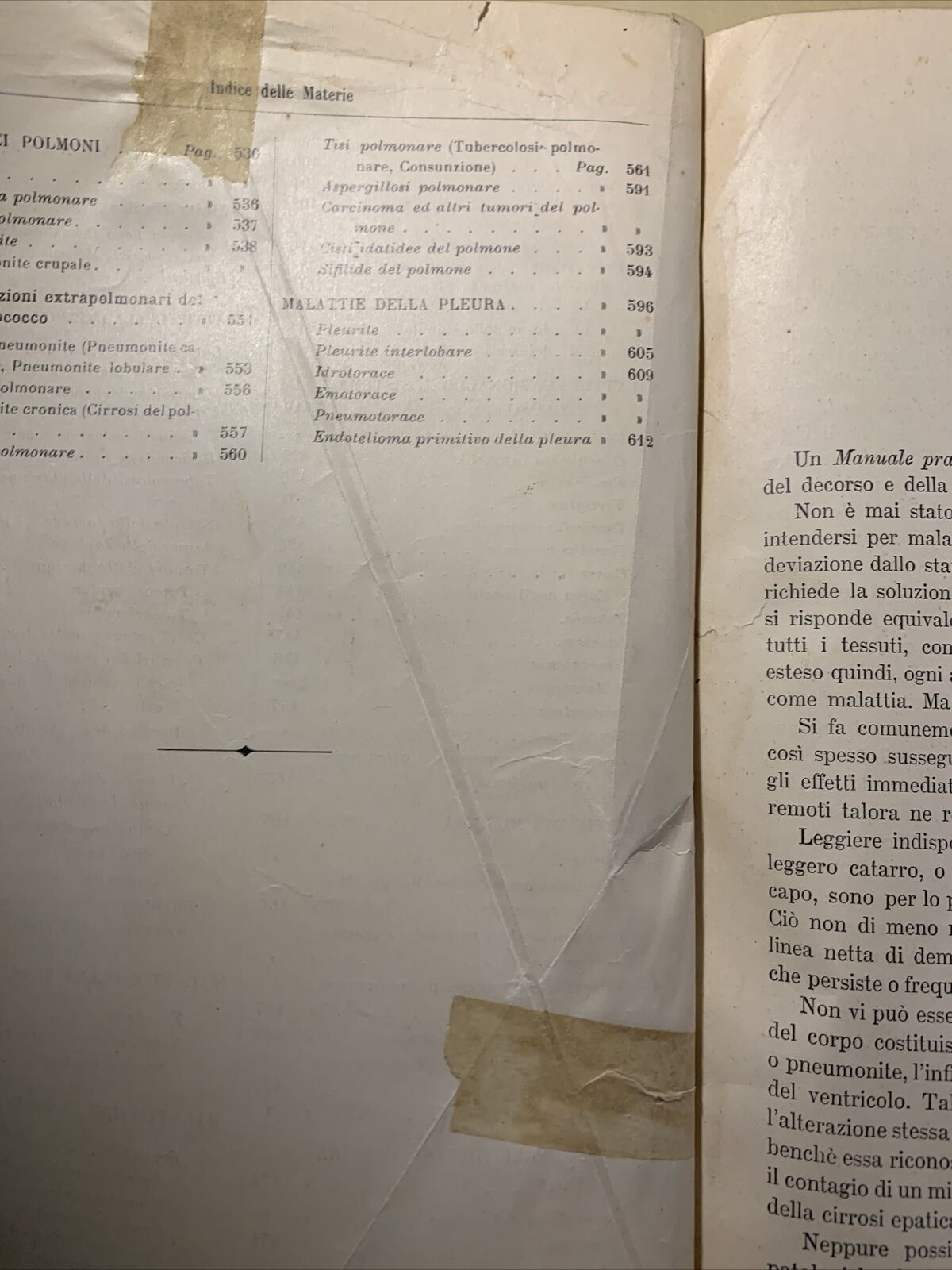 MANUALE PRATICO MEDICINA INTERNA - FEDERICO TAYLOR. UTET 1911. 2 VOLUMI #
