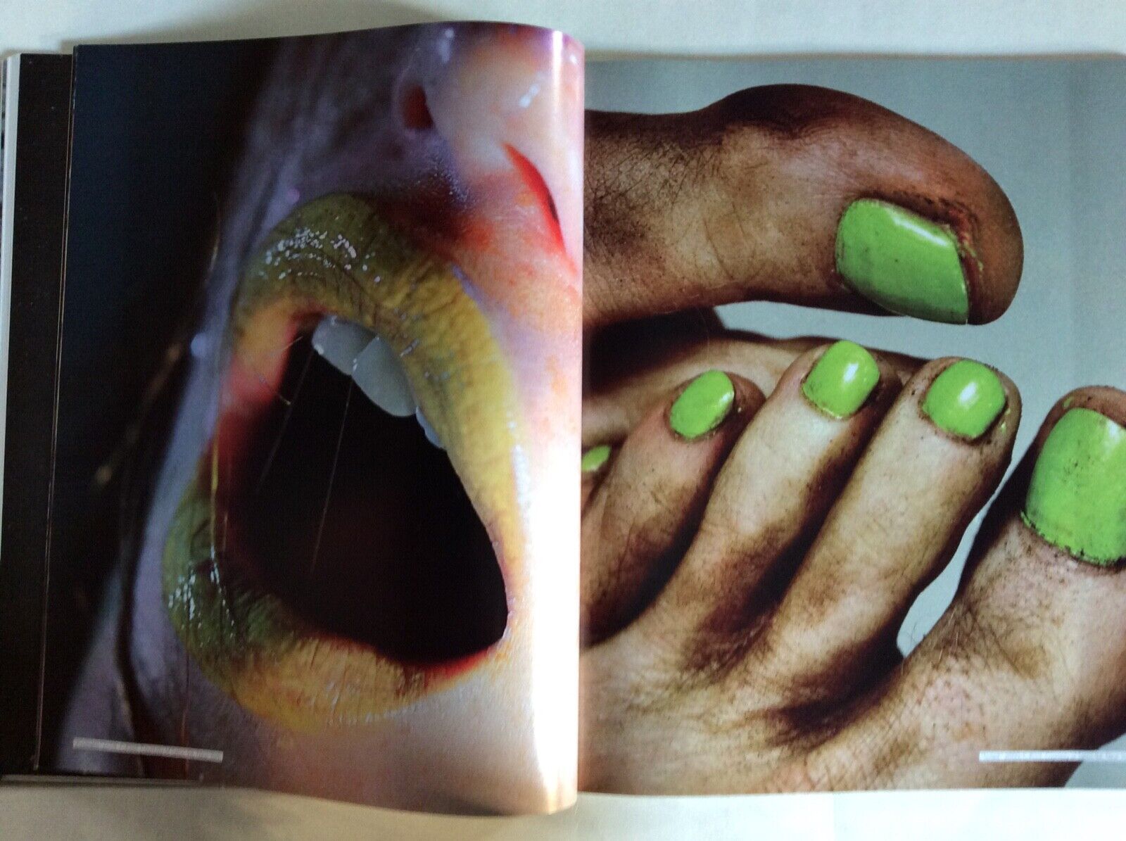 FLAUNT MAGAZINE 93  EMILE HIRSCH , THE ONLY CONSTANT