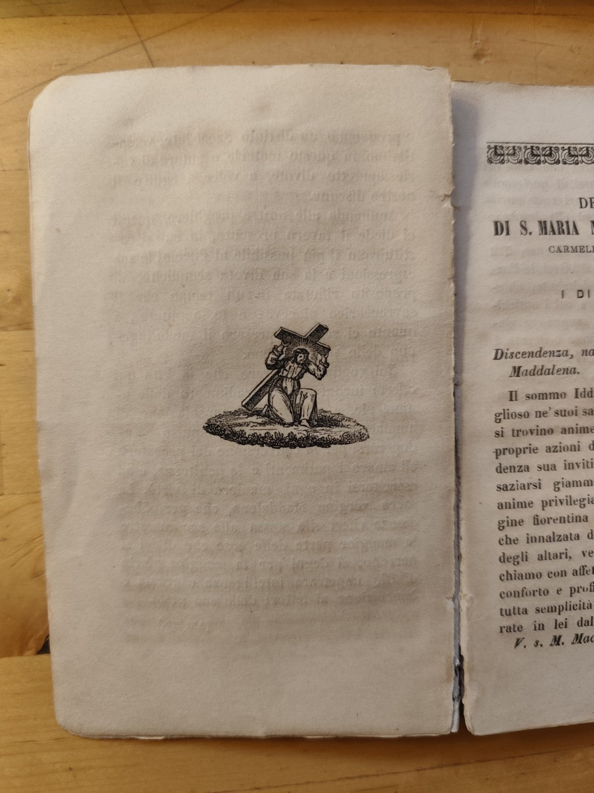 Vita di S. M. Maddalena de' Pazzi Carmelitana osserv. - Vincenzo Puccini 1869