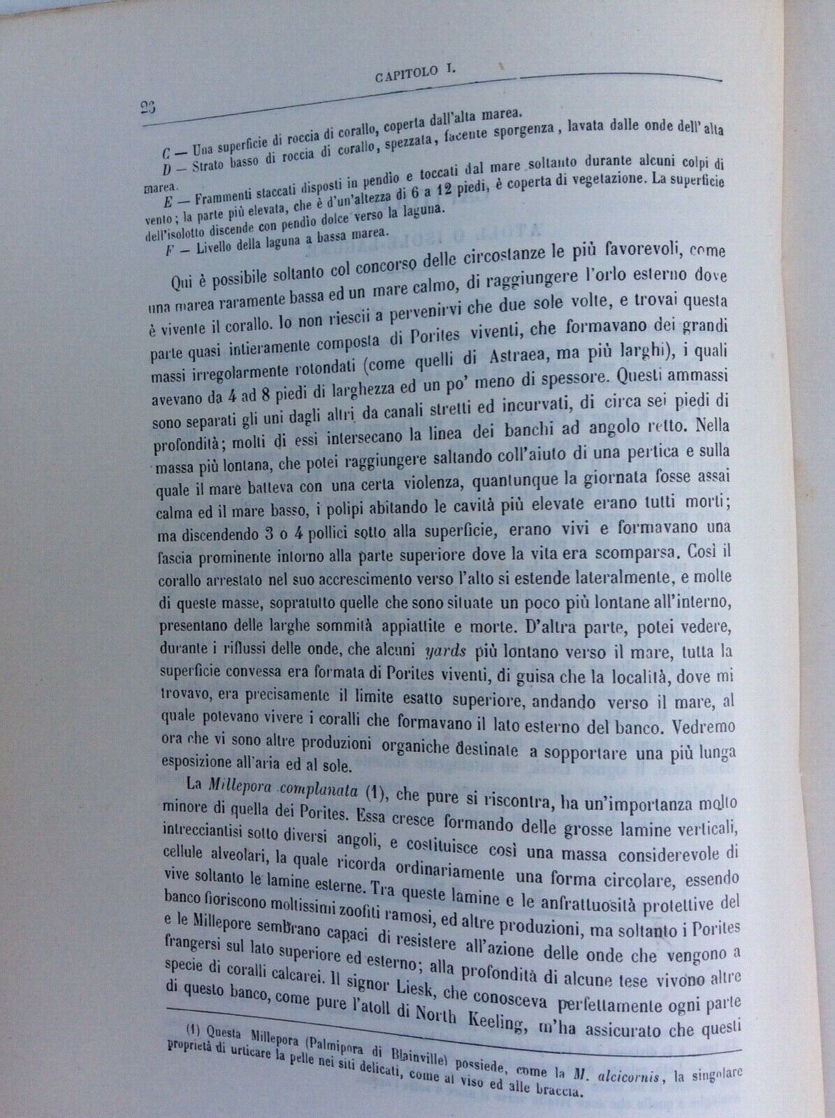 SULLA STRUTTURA DISPOSIZIONE DEI BANCHI DI CORALLO, DARWIN, UNIONE TIPOGRAFICO