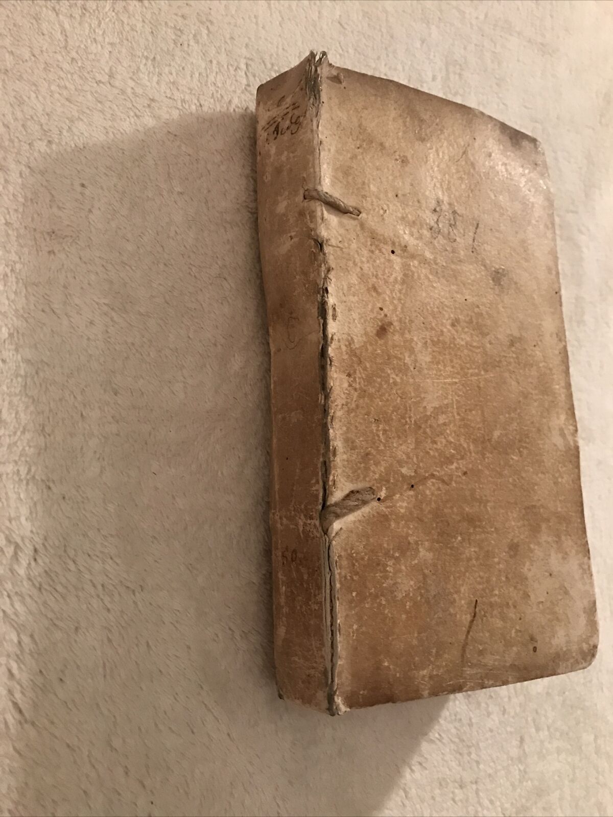 Thusnelde oder ritter vom goldenen sporn 1788