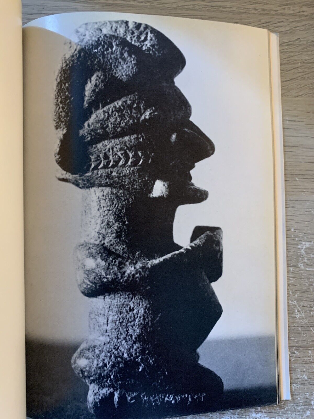 Fabulous ancestors, stone carvings from Sierra Leone & Guinea, edizioni Polifilo