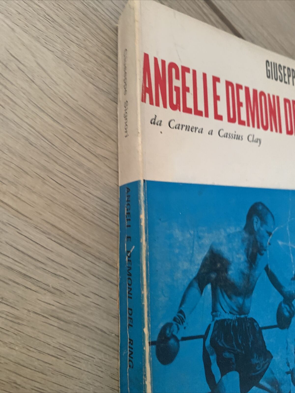 Angeli e demoni del ring - Giuseppe Signori, da Carnera a Cassius Clay Viridiana