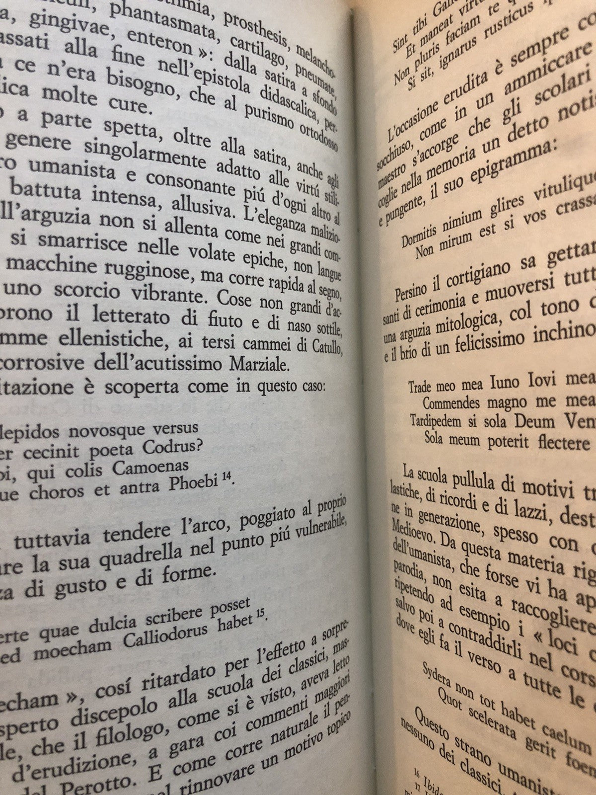 Codro e l'Umanesimo a Bologna, Ezio Raimondi - il Mulino 1987