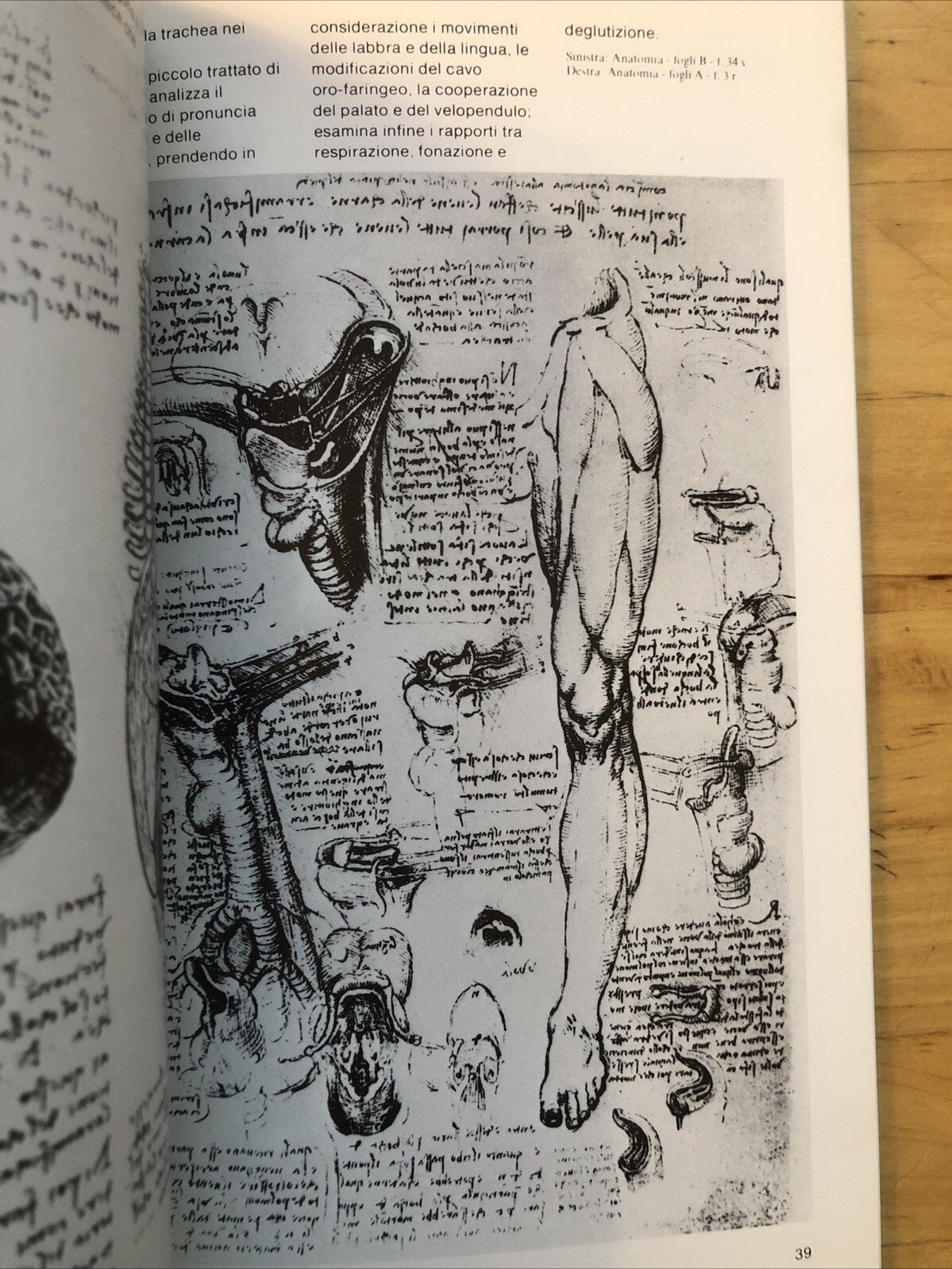 Leonardo da Vinci al museo nazionale della scienza e della tecnica, Scala ed.