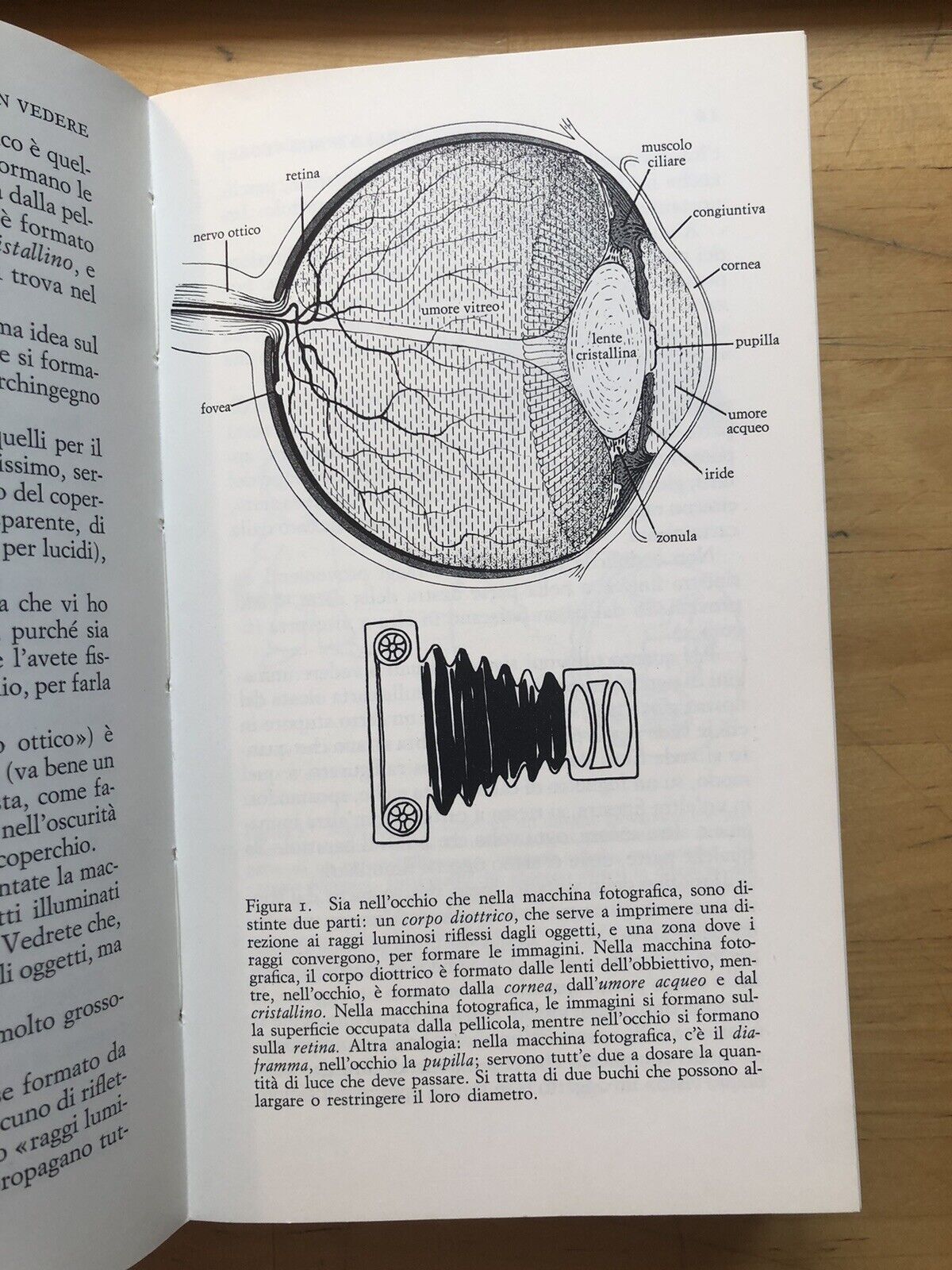 Tra vedere e non vedere, Tonino Capsula - Einaudi 1981