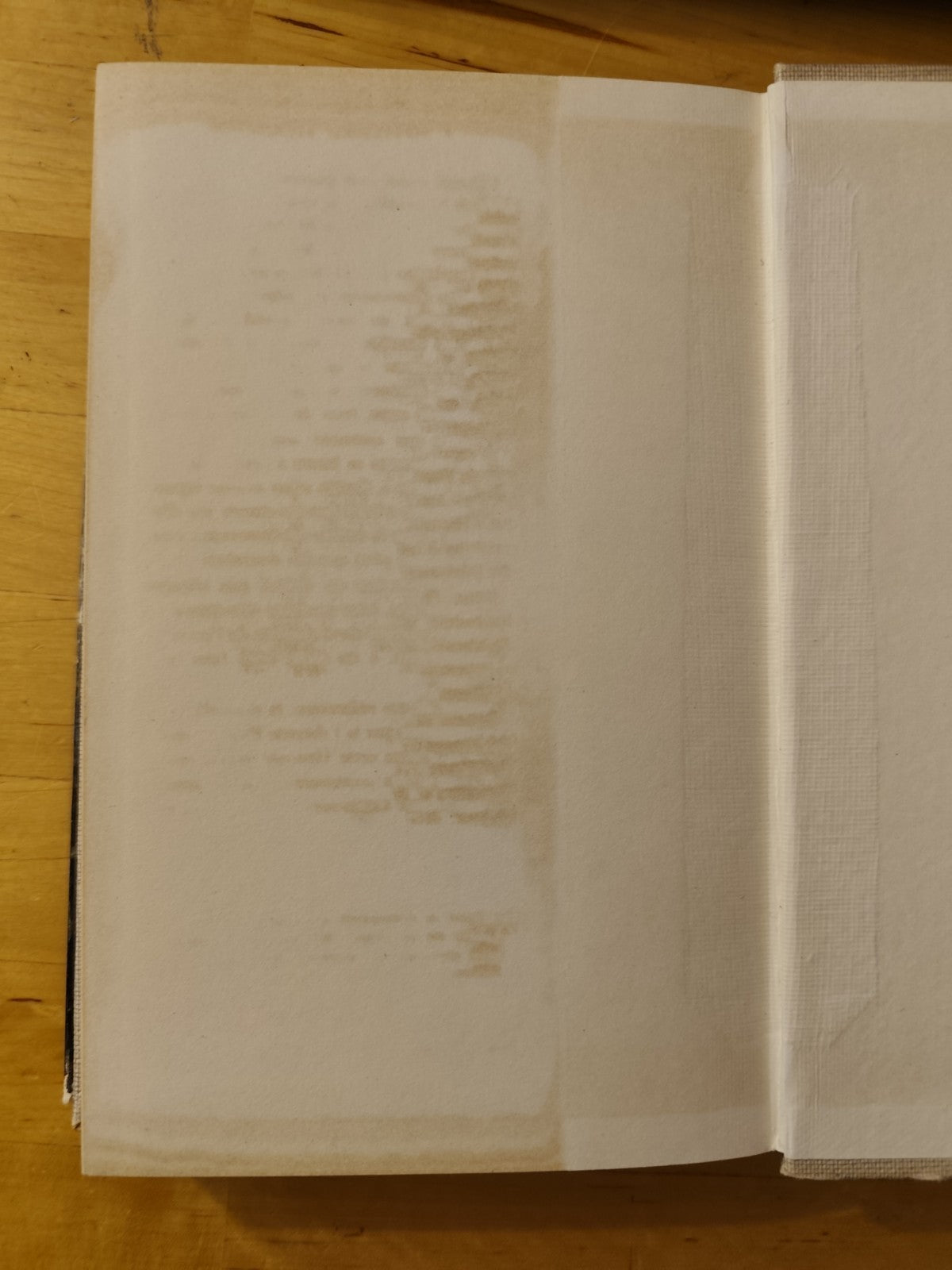 Robespierre, P. Bessand Massenet, Plon ed. 1961 - L'Histoire Humaine