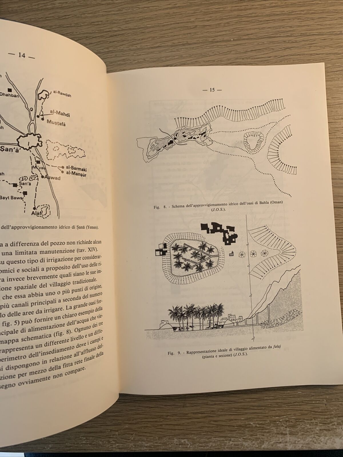 L'UOMO E L'AMBIENTE NELLA PENISOLA ARABA. PAOLO M. COSTA 1991 accademia Lincei