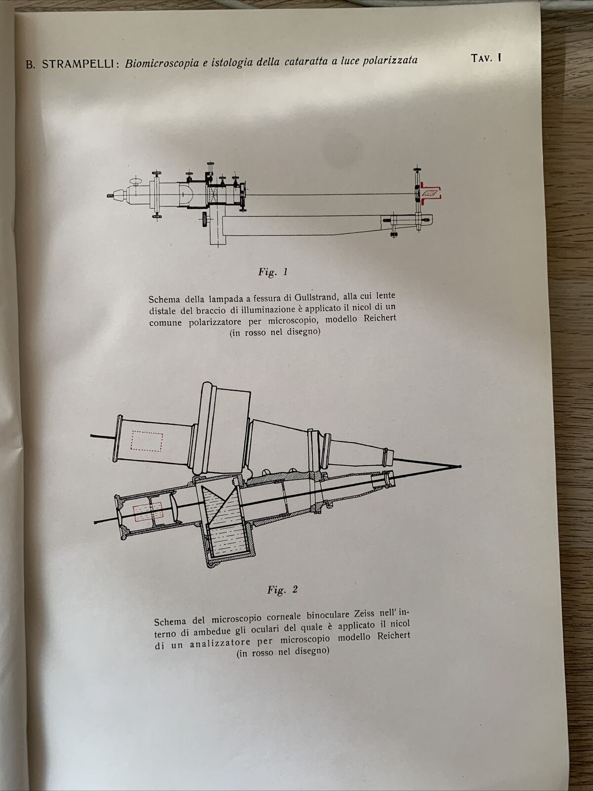 BIOMICROSCOPIA ED ISTOLOGIA DELLA CATARATTA A LUCE POLARIZZATA - Strampelli 1934