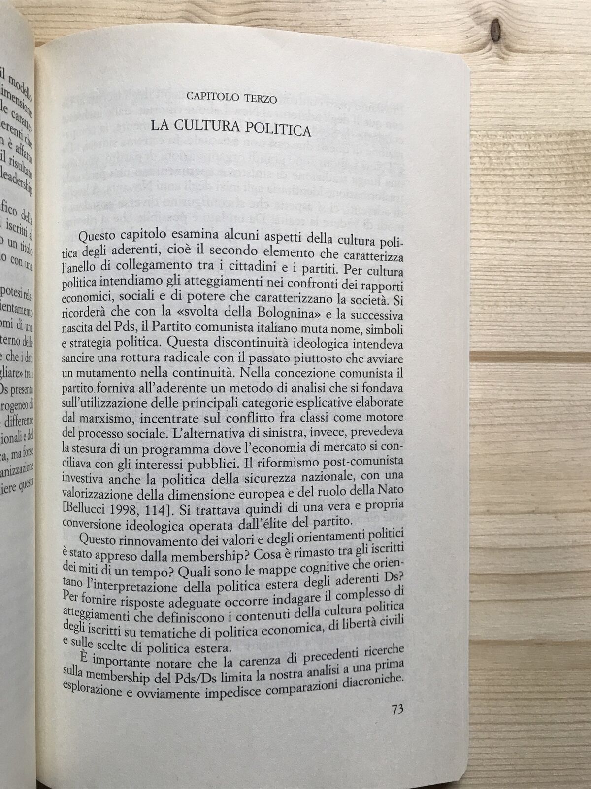 DENTRO I DS - Rosa Mulé, Il Mulino studi e ricerche 2007
