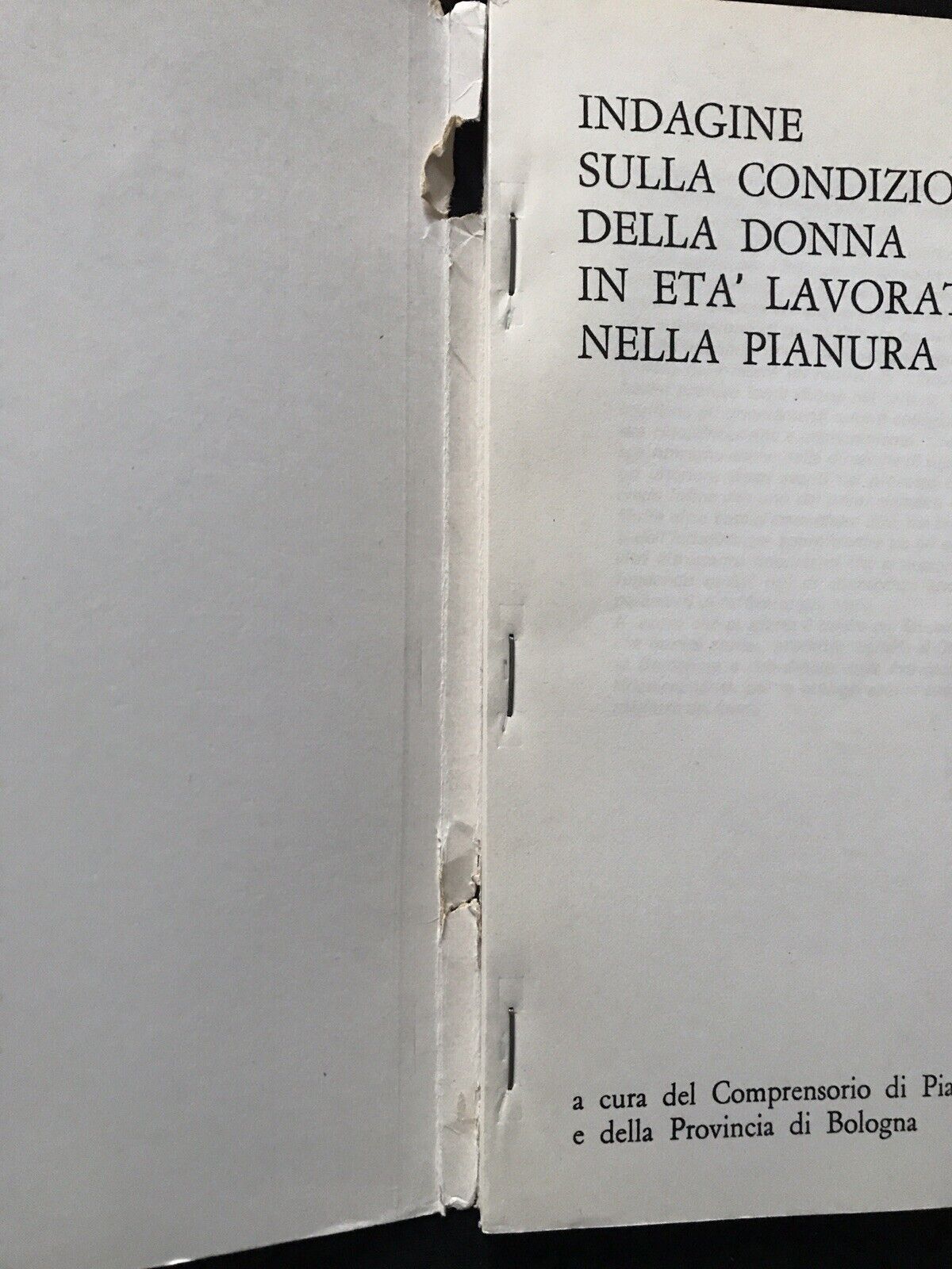 Indagine sulla condizione della donna in età lavorativa nella pianura bolognese#