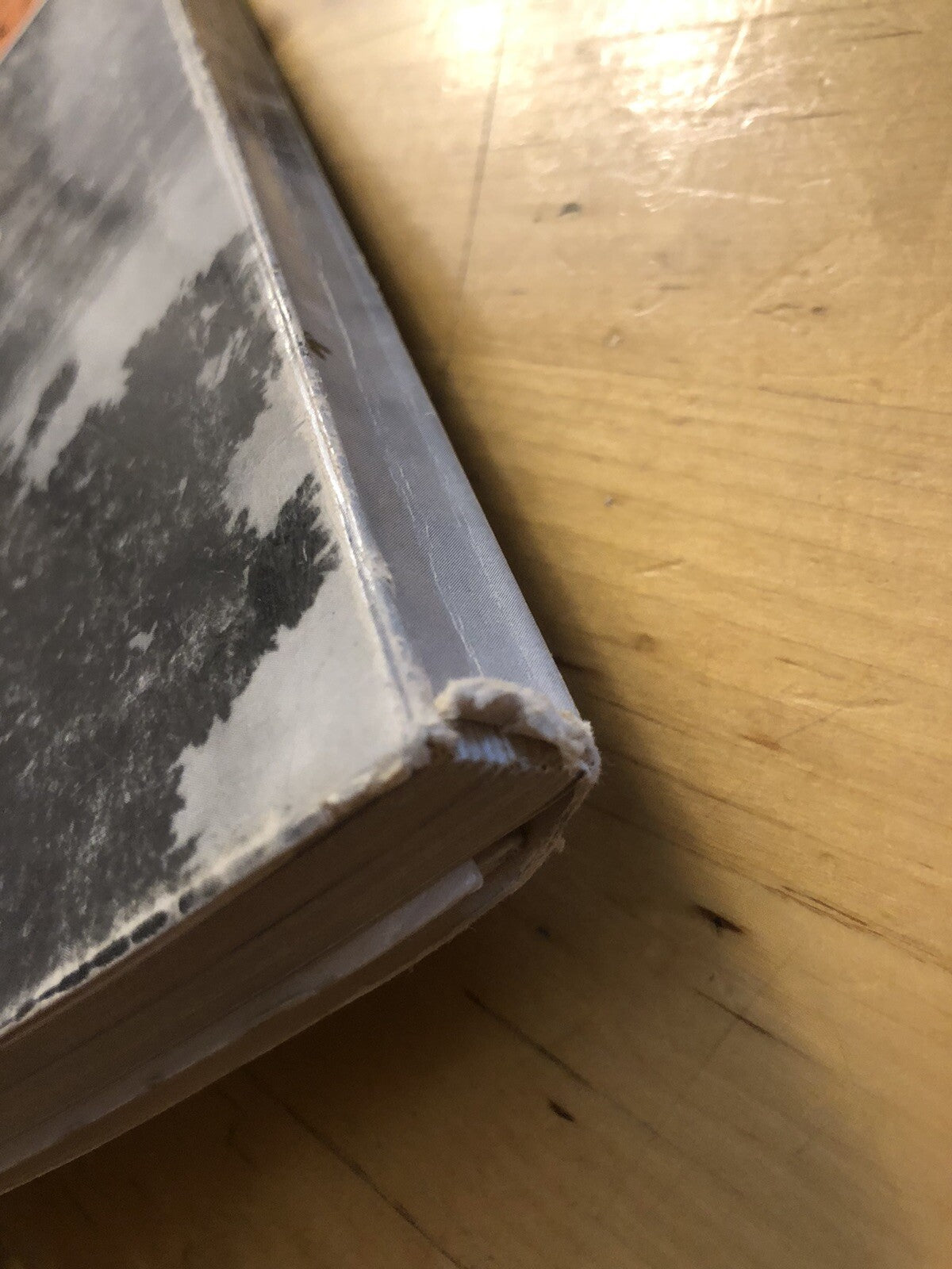 Monzuno territorio e beni culturali di un'area comunale dell'Appennino Bolognese