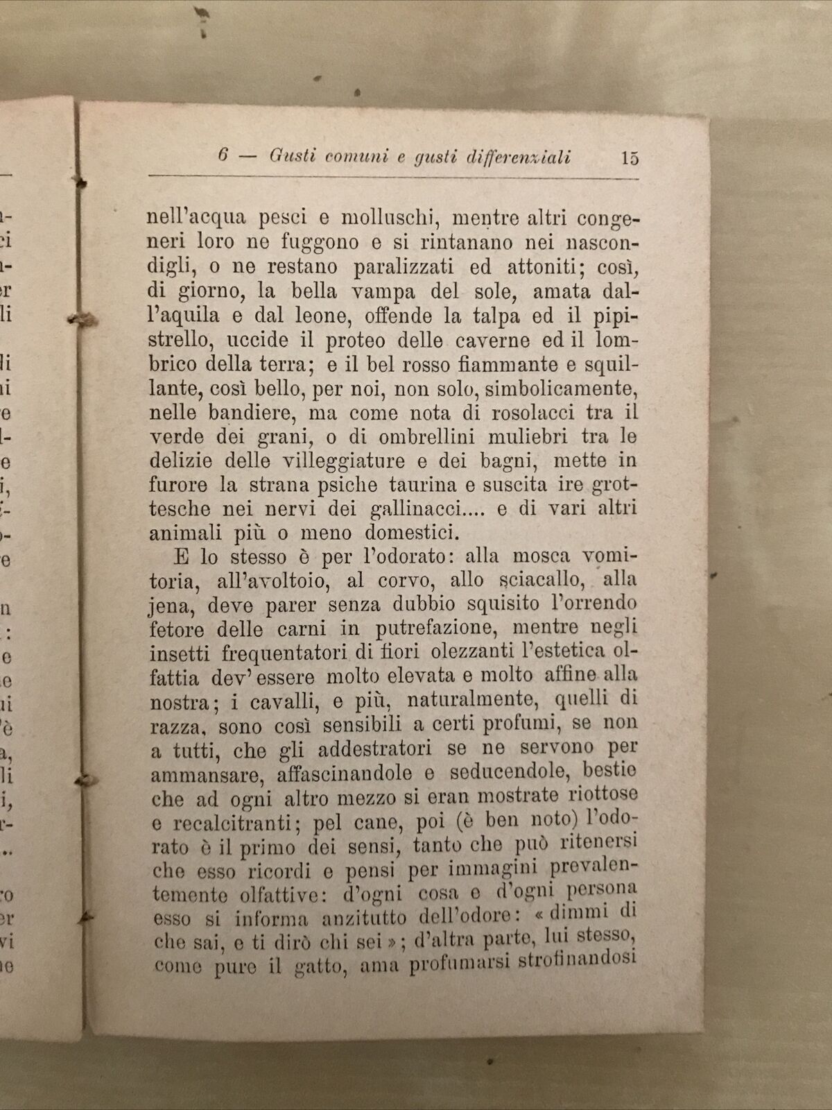 L'ESTETICA lezioni sul gusto, Mario Pilo, Manuali Hoepli 1906