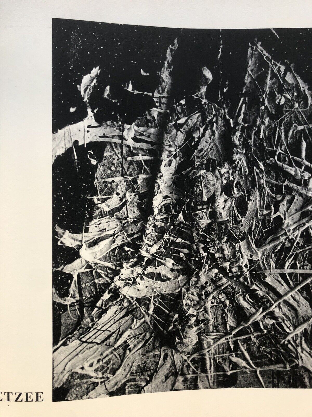 Morphologie Autre - Michel Tapié. Fratelli Pozzo editore  1960