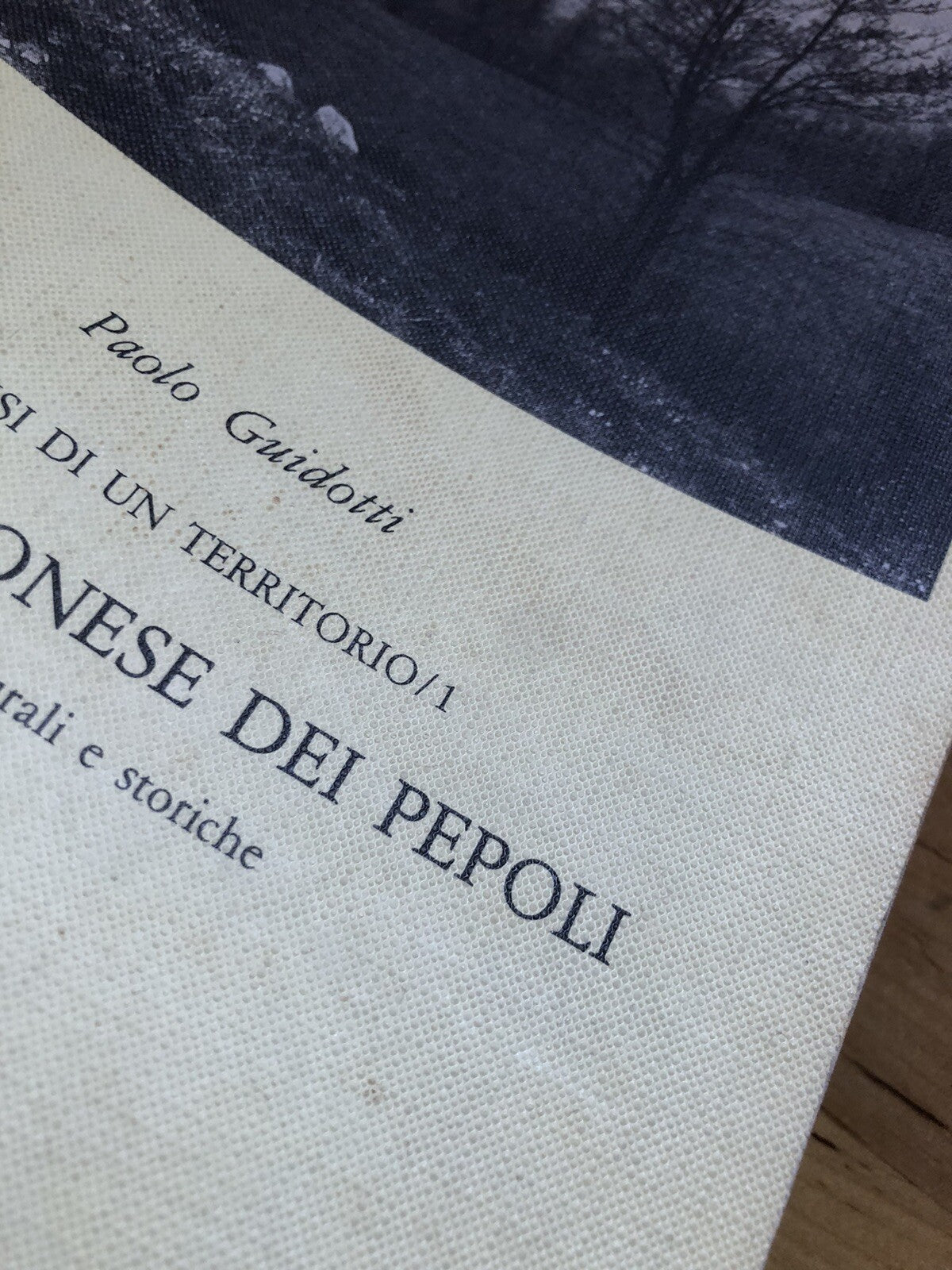 Il Castiglionese dei Pepoli (Castiglione dei Pepoli Bologna) Paolo Guidotti 1982