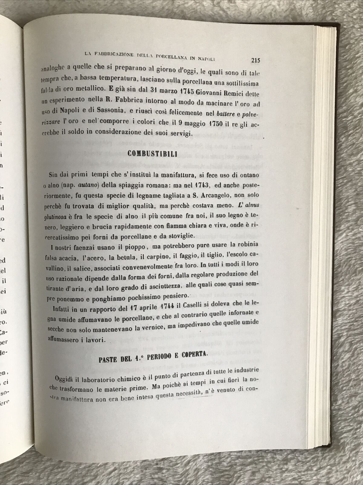 STORIA DELLE PORCELLANE IN NAPOLI E SUE VICENDE. C. Minieri Riccio - Novi. Forni