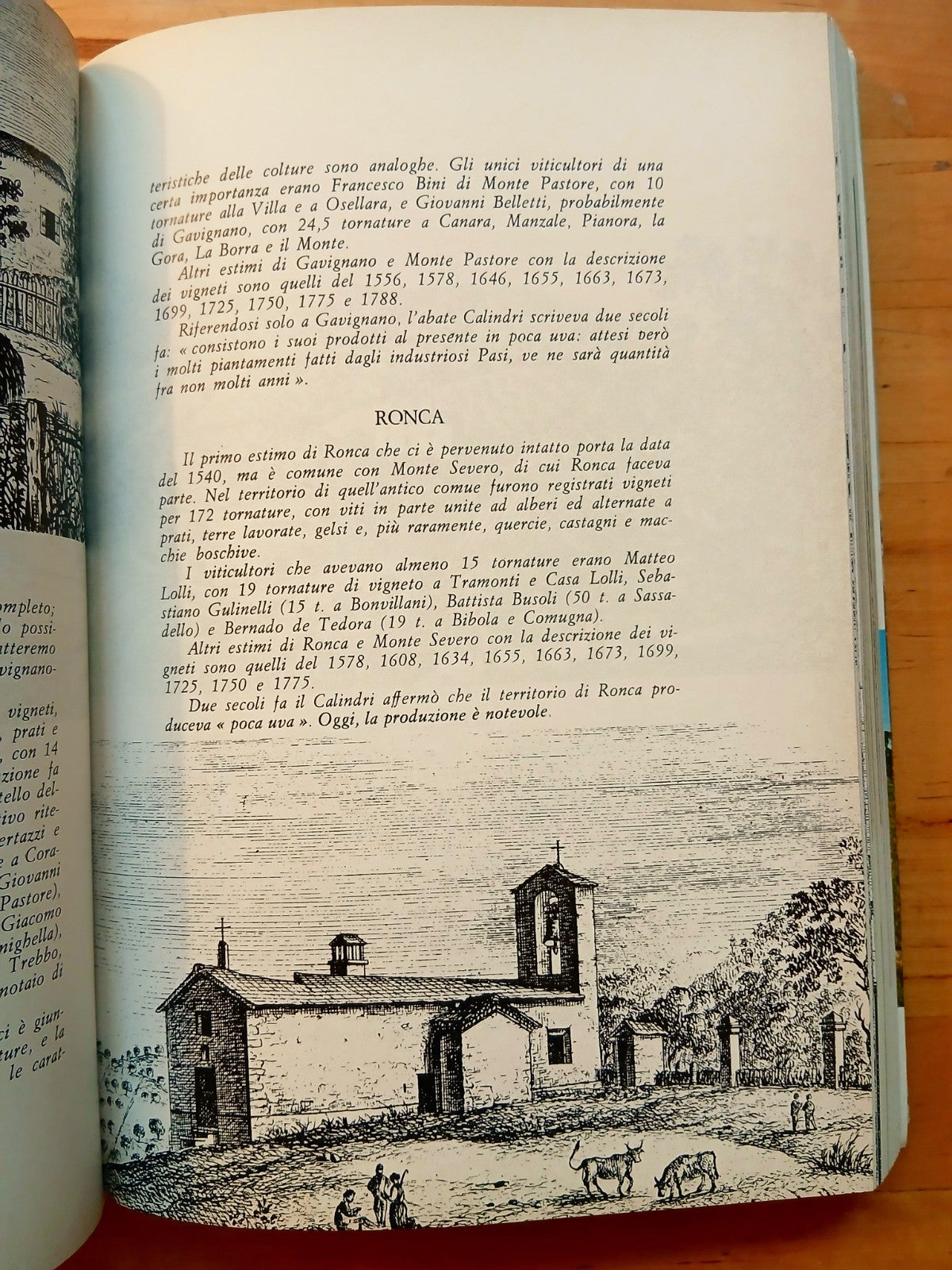 Monte San Pietro (Bologna) guida storica Enogastronomica agreste Colline occiden