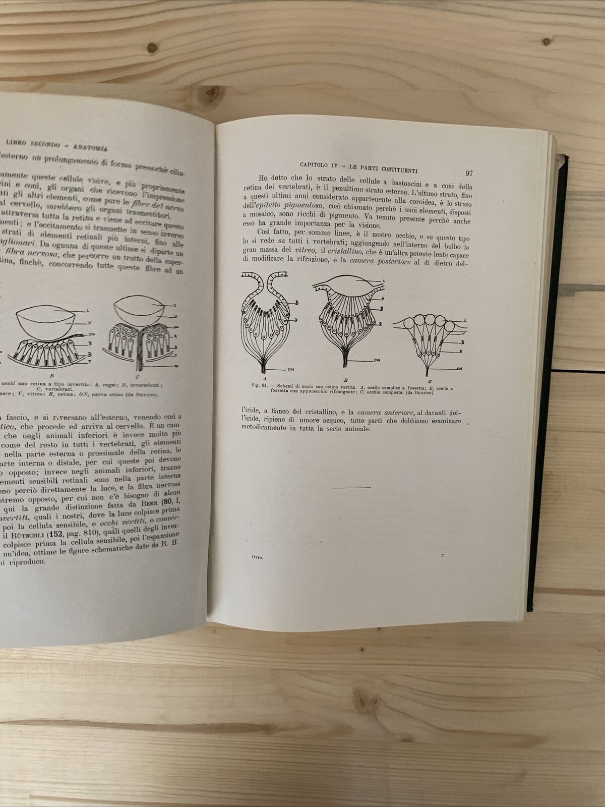 ANATOMIA E FISIOLOGIA DELL'OCCHIO NELLA SERIE ANIMALE - Giuseppe Ovio 1925 #